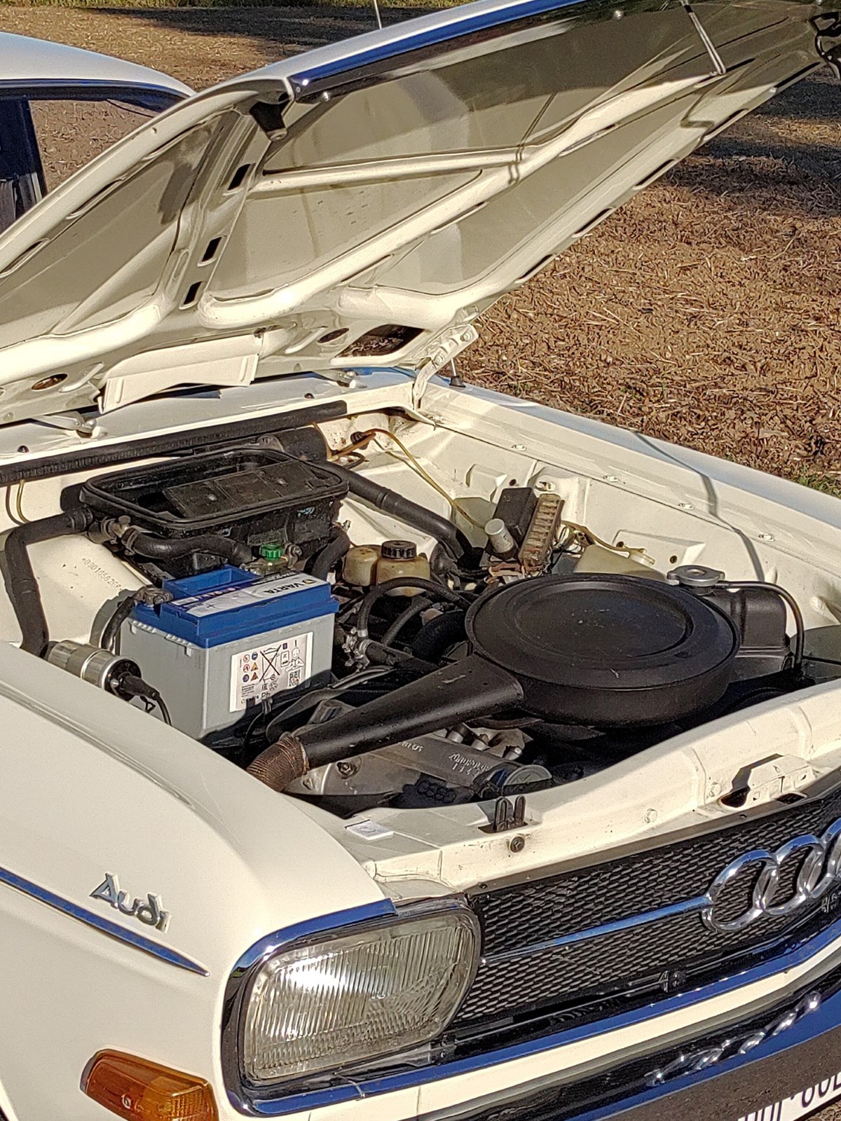 AUDI 60 L-image-6