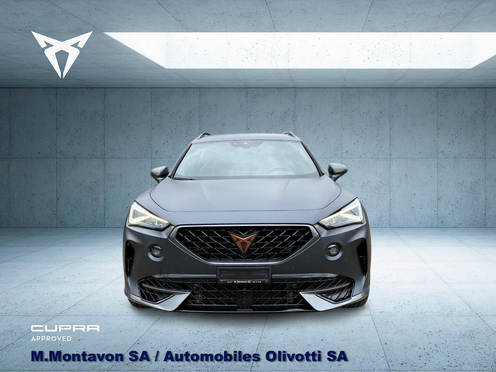 CUPRA Formentor 2.0TSI VZ 4Drive DSG-image-2
