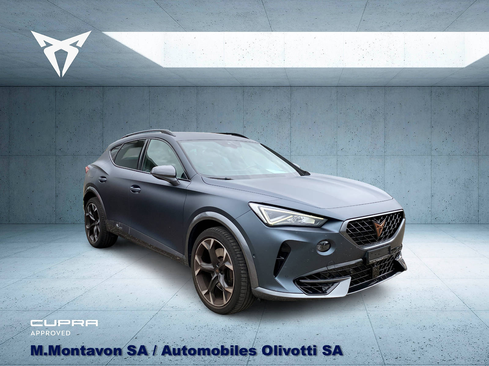 CUPRA Formentor 2.0TSI VZ 4Drive DSG-image-10