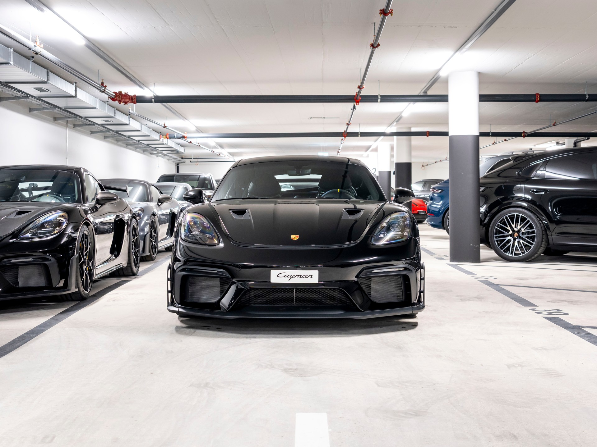 PORSCHE 718 Cayman GT4 RS PDK-image-3