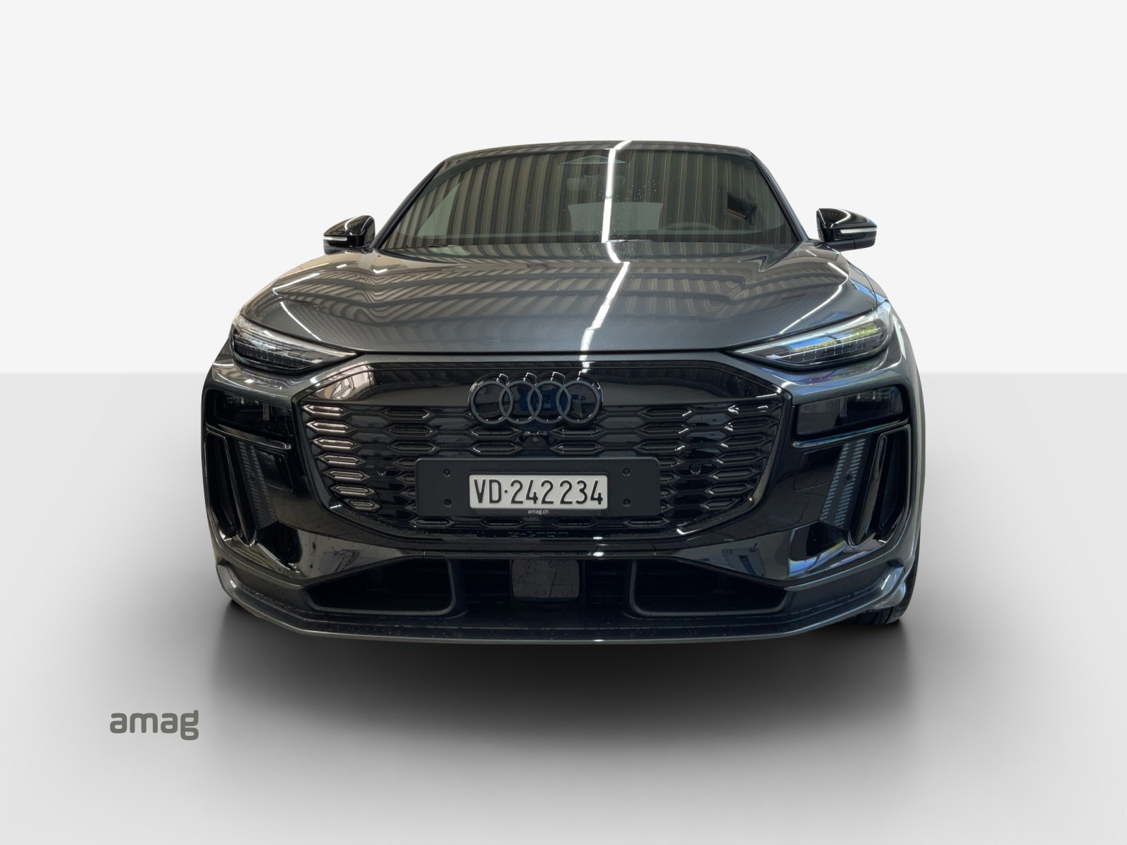 AUDI Q6 Sportback e-tron quattro-image-6