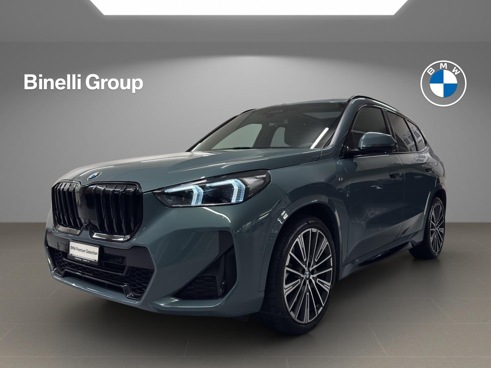 BMW X1 23i xDrive paddles-image-0