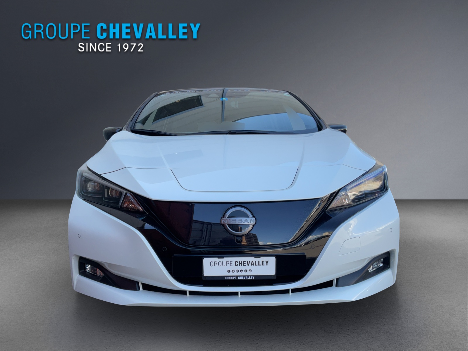 NISSAN Leaf e+ Tekna(incl. batt)
