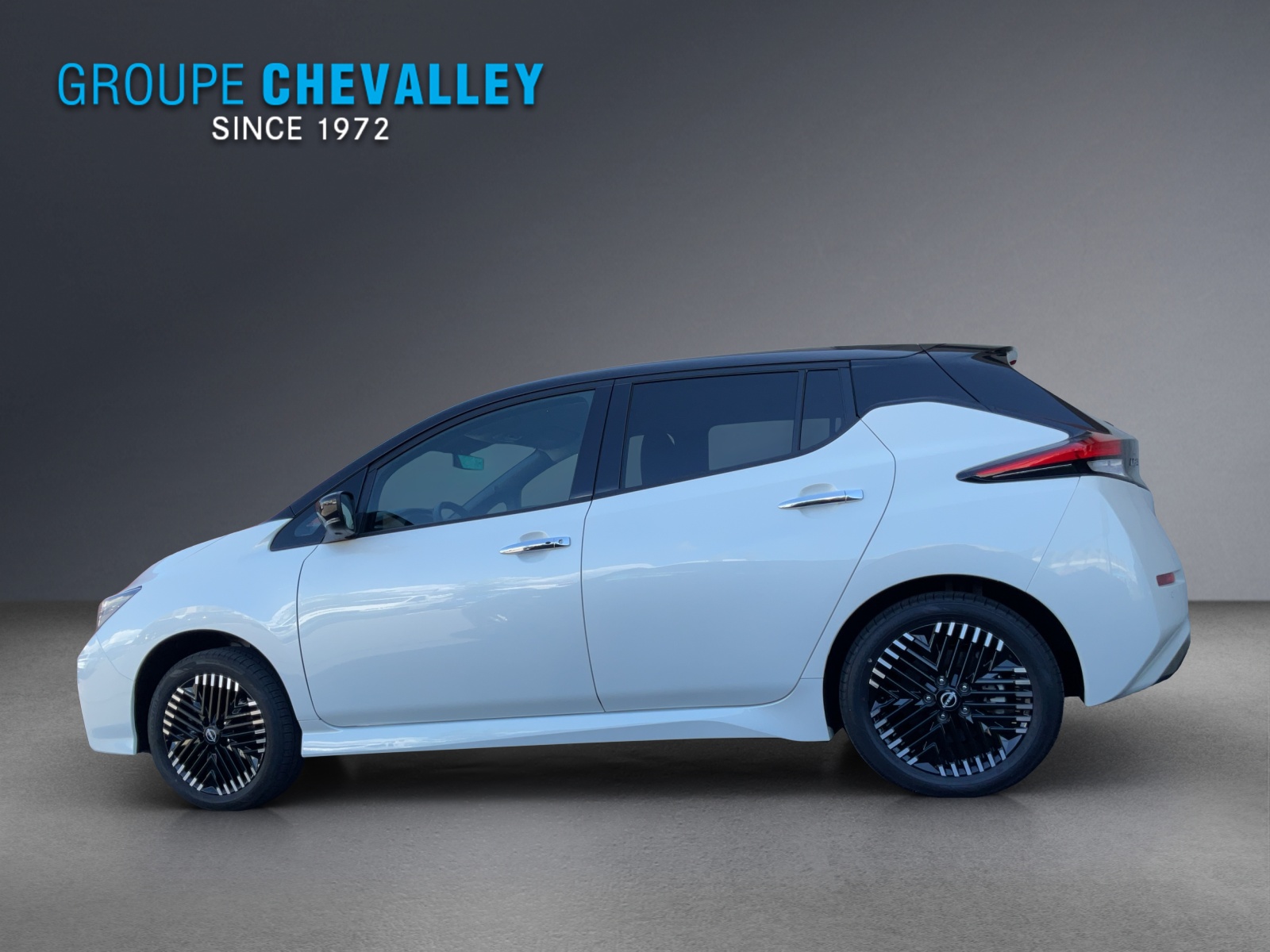 NISSAN Leaf e+ Tekna(incl. batt)-showroom-element-2