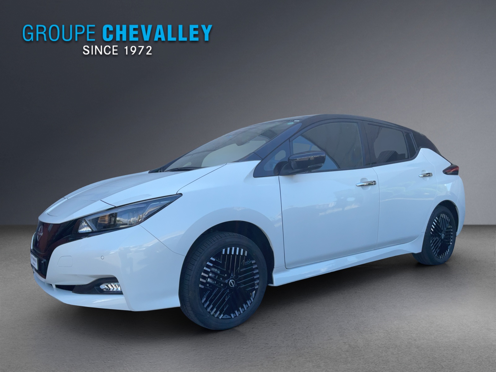NISSAN Leaf e+ Tekna(incl. batt)-showroom-element-1