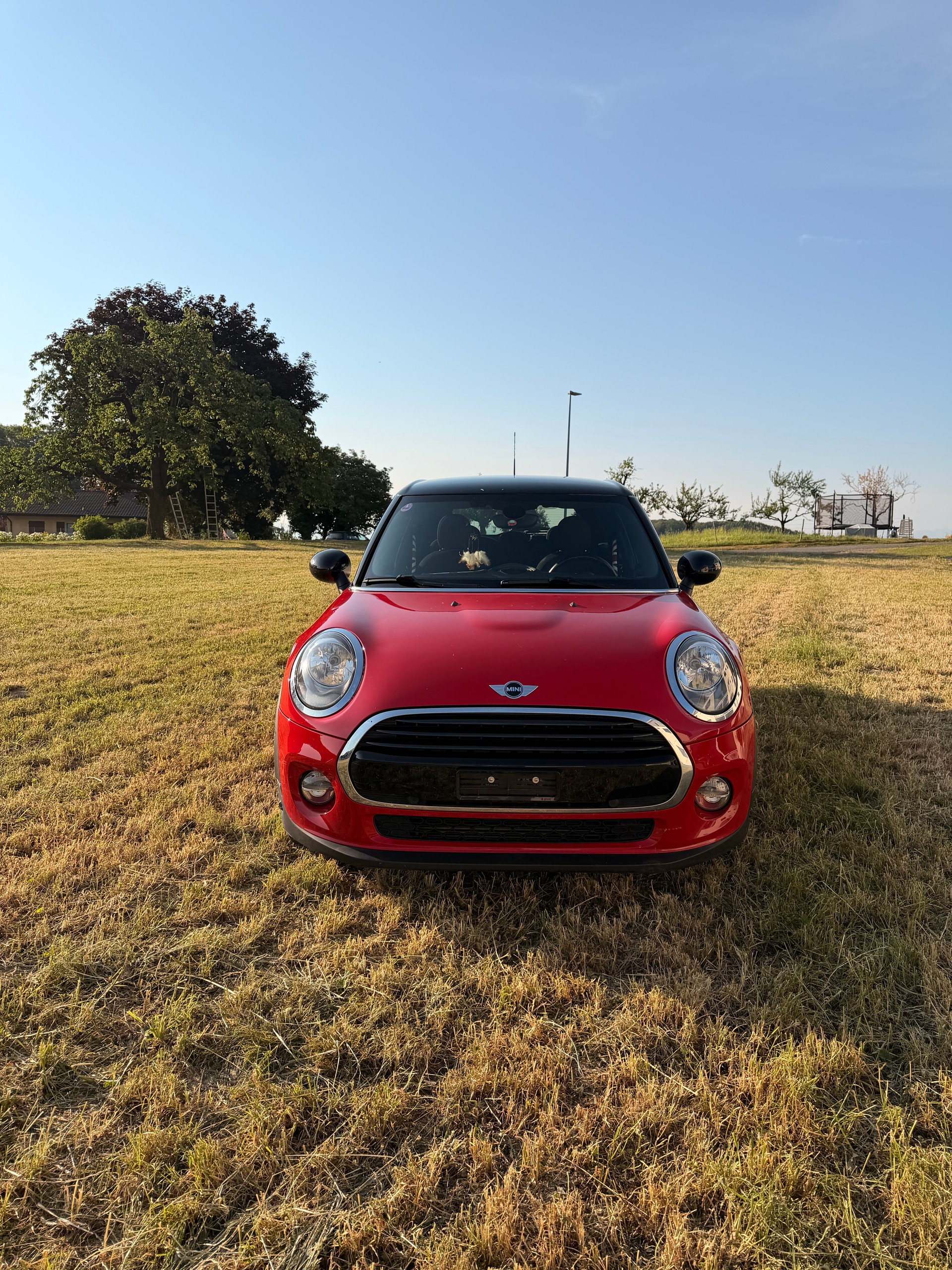 MINI MINI-image-4