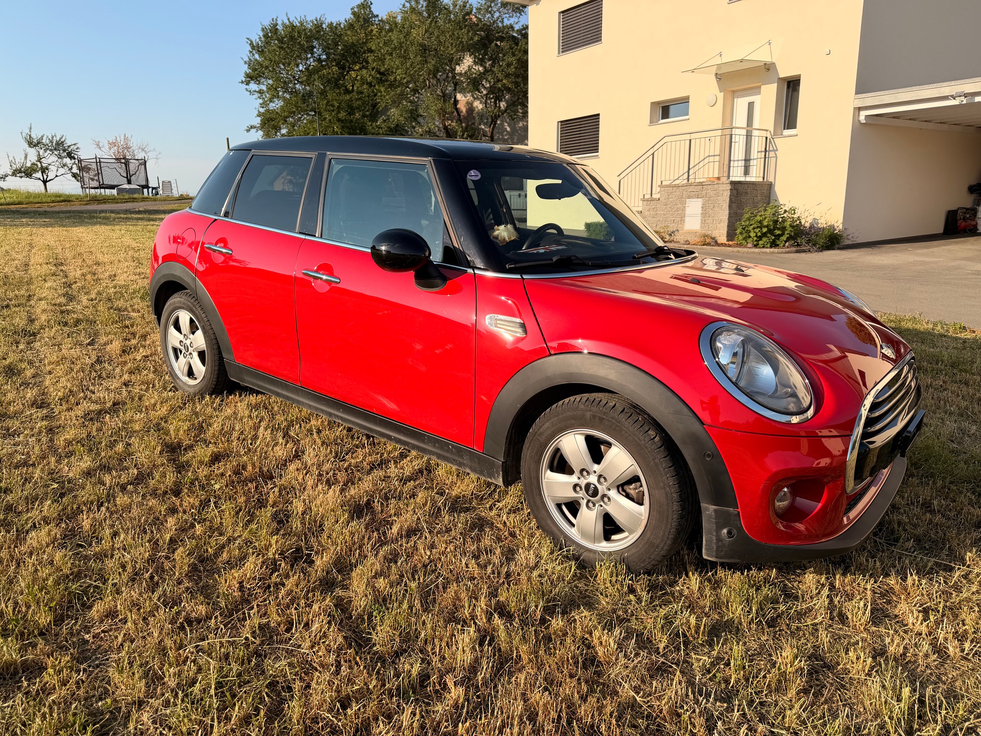 MINI MINI-image-1