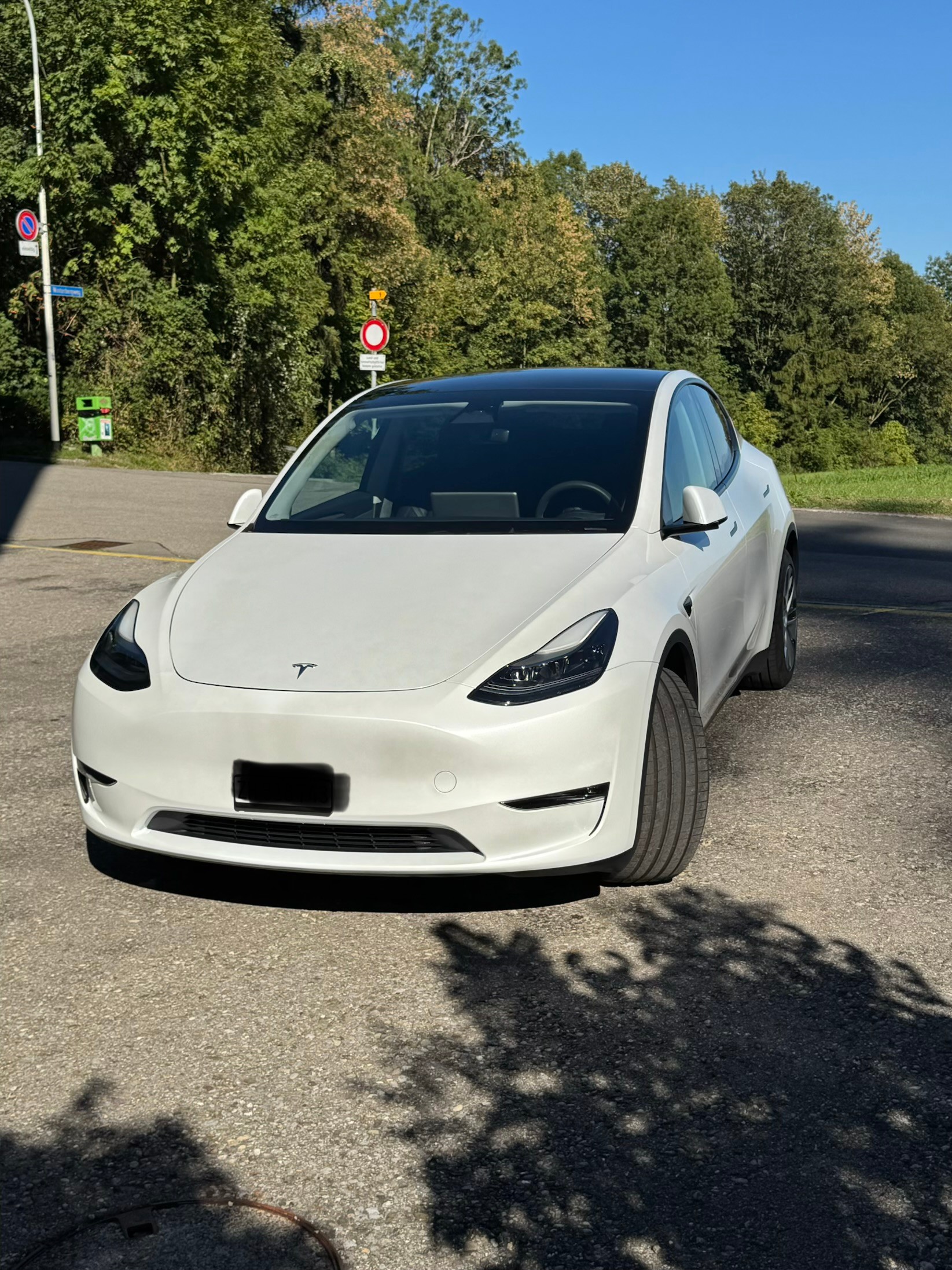 TESLA Model Y Long Range AWD-image-0