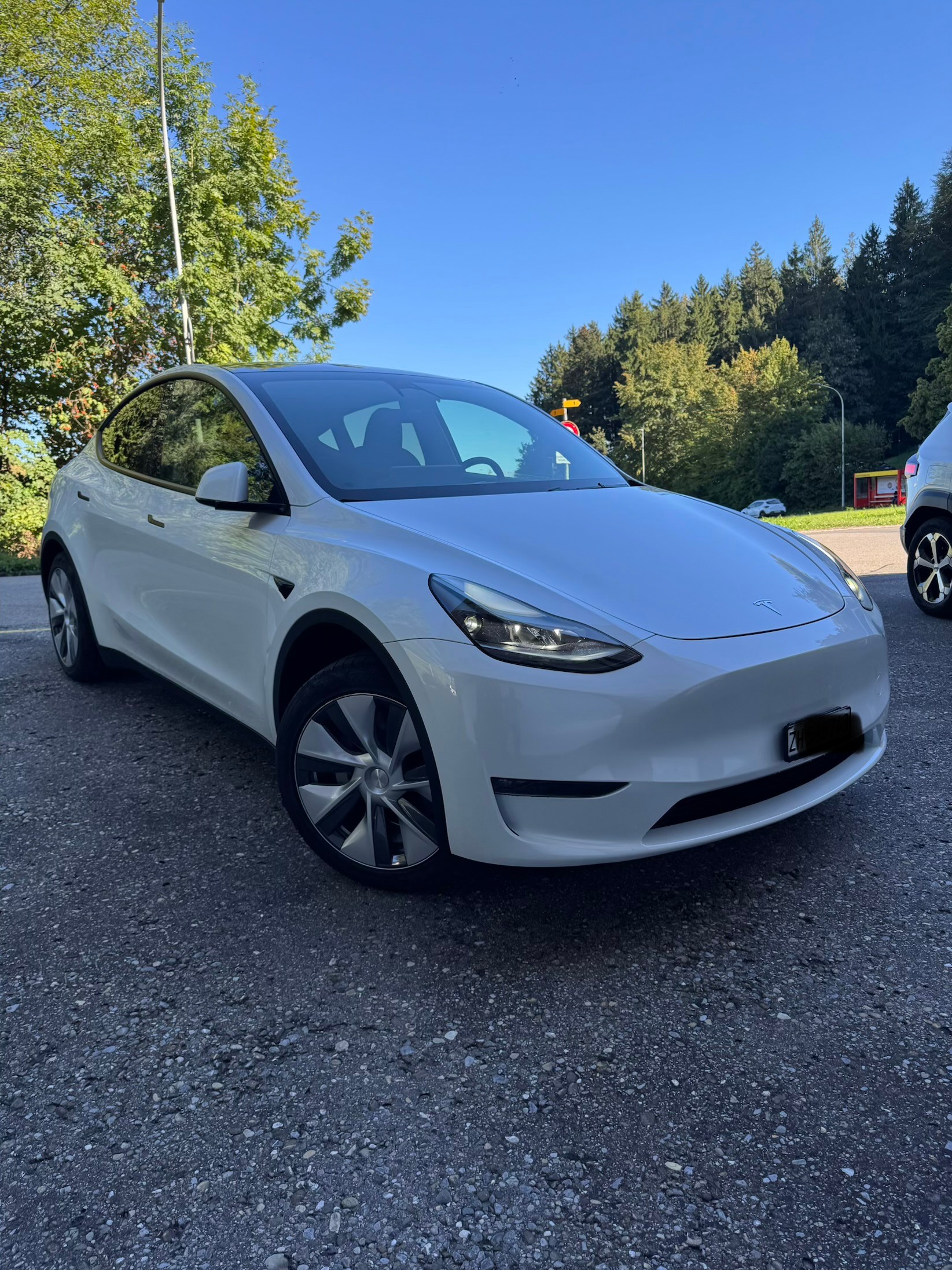 TESLA Model Y Long Range AWD-image-1
