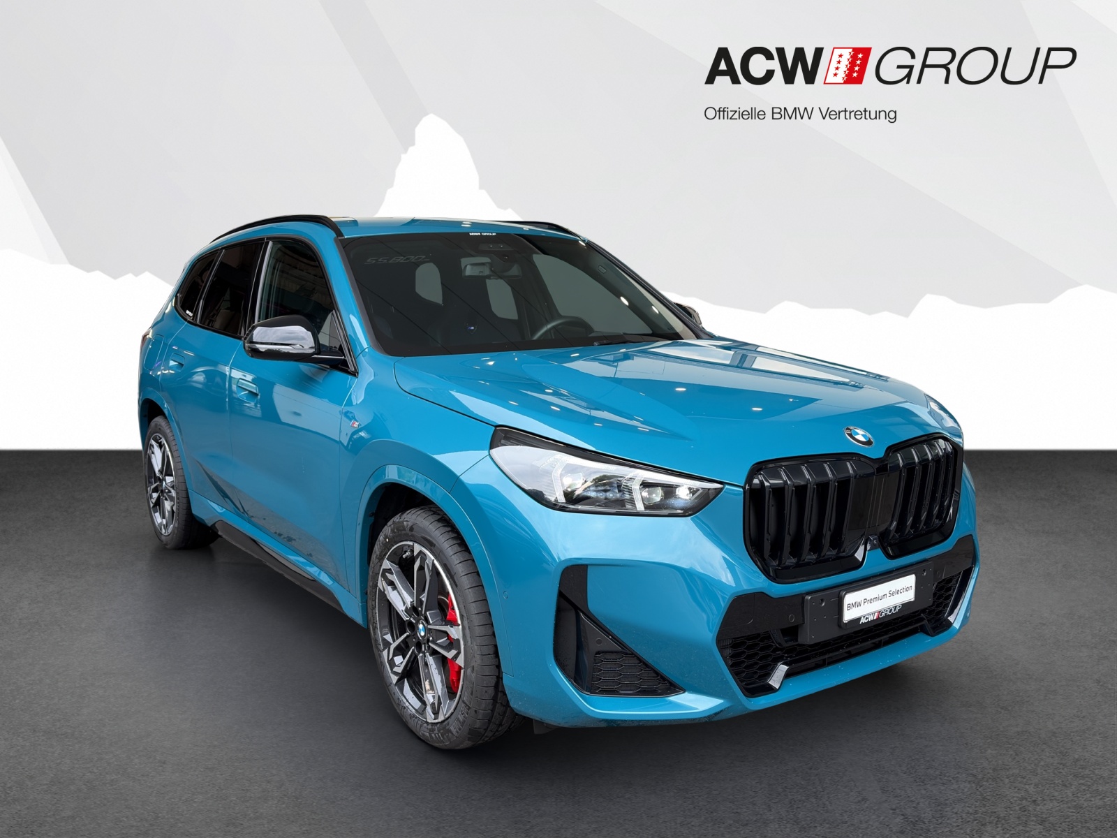 BMW X1 23d xDrive-image-6