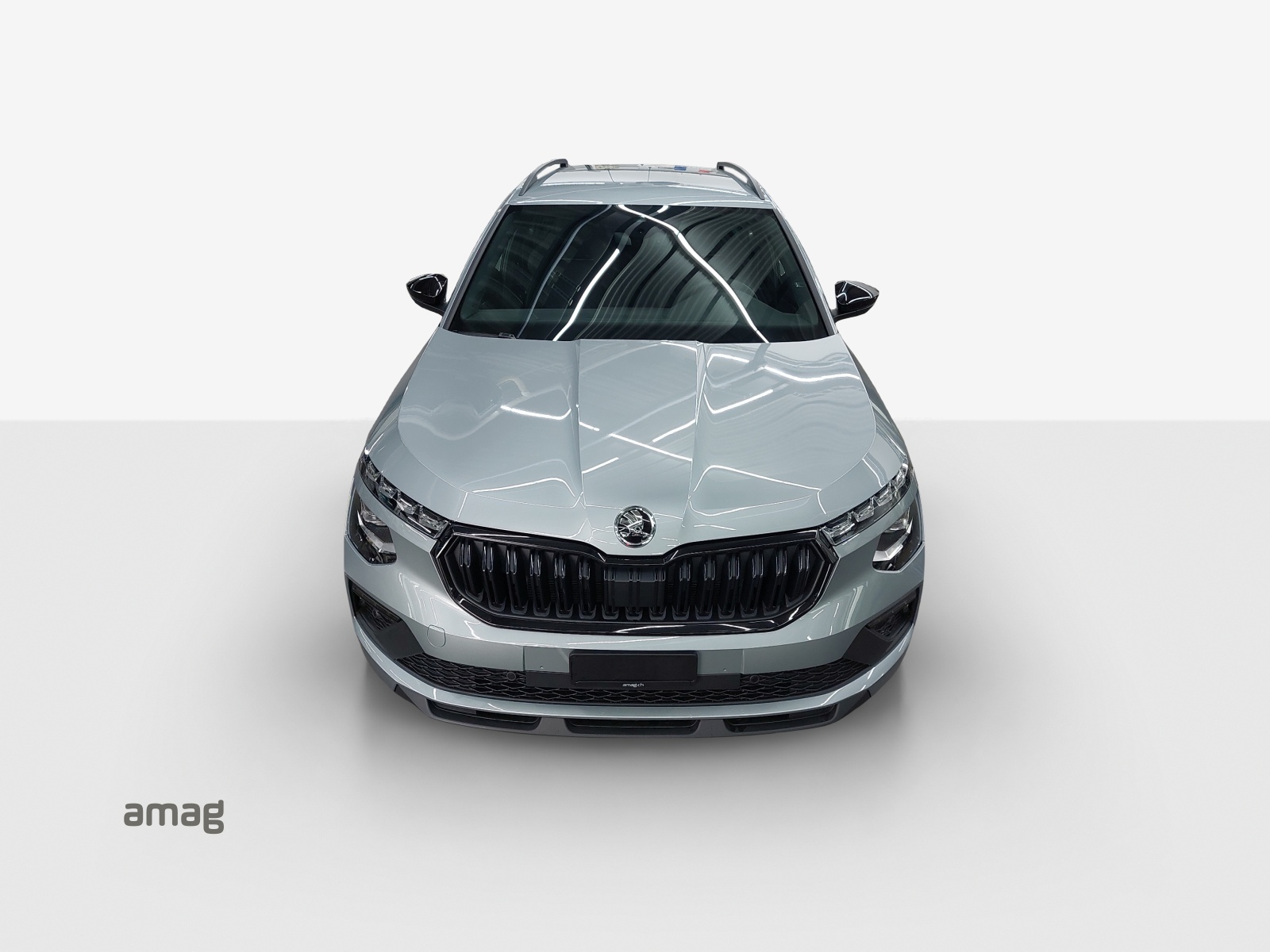 SKODA Kamiq 1.0 TSI Dynamic DSG-image-15