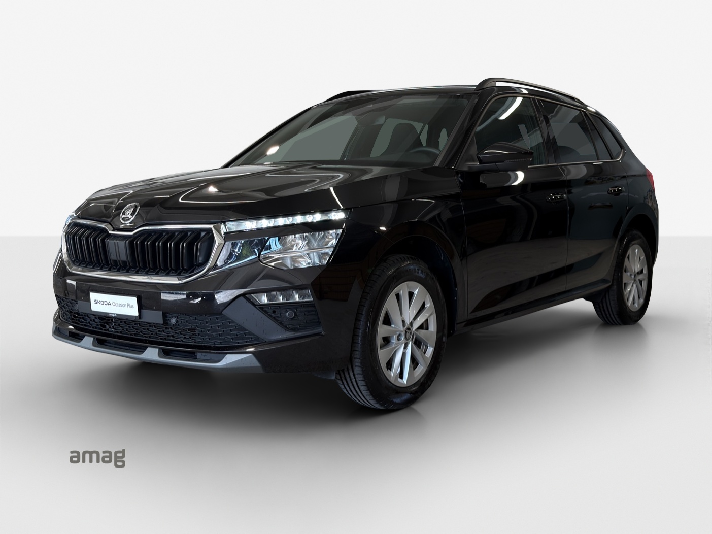 SKODA Kamiq 1.0 TSI Selection DSG-image-0