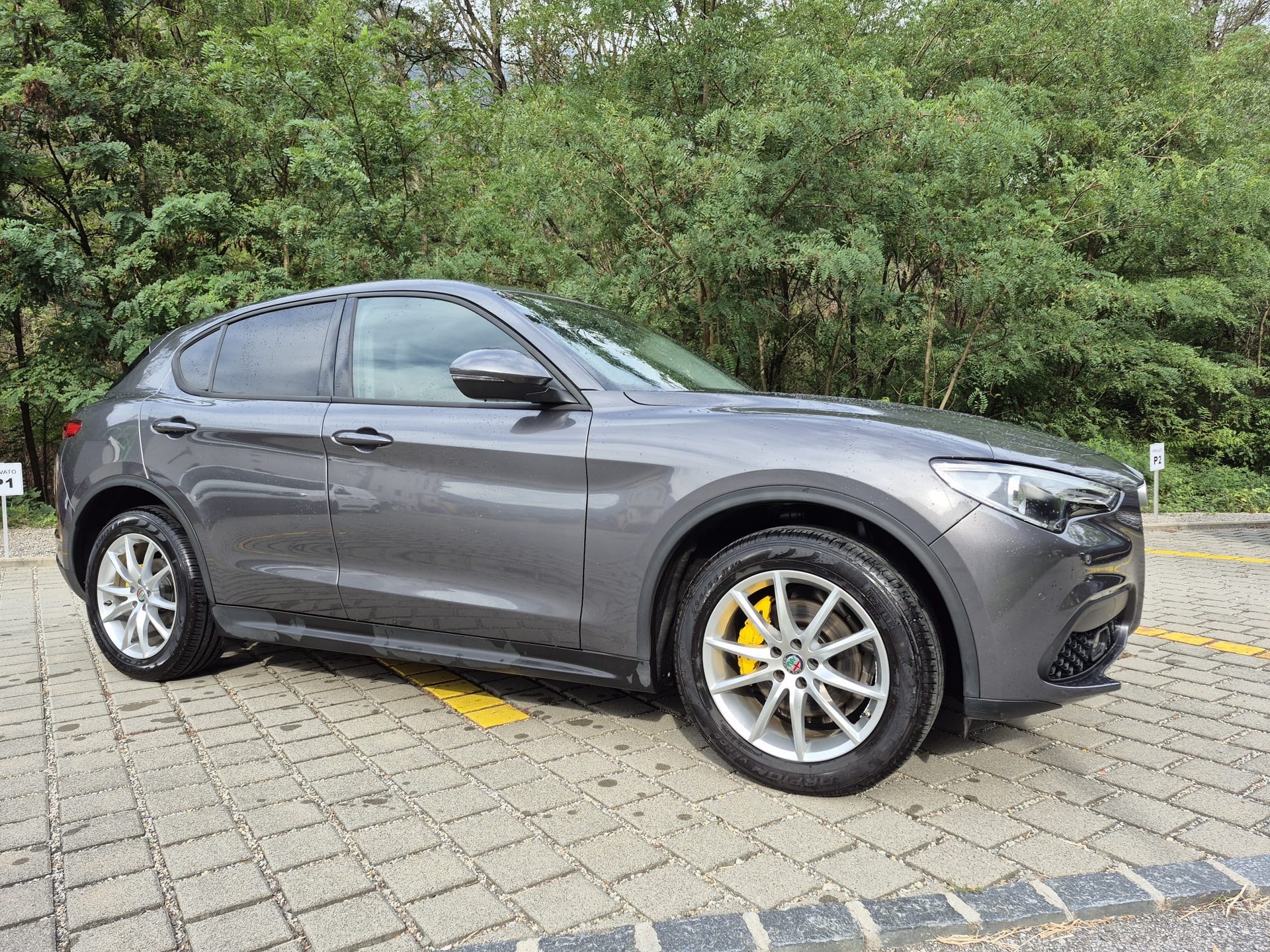 ALFA ROMEO Stelvio 2.2 JTDM Business Automatic Q4-showroom-element-1
