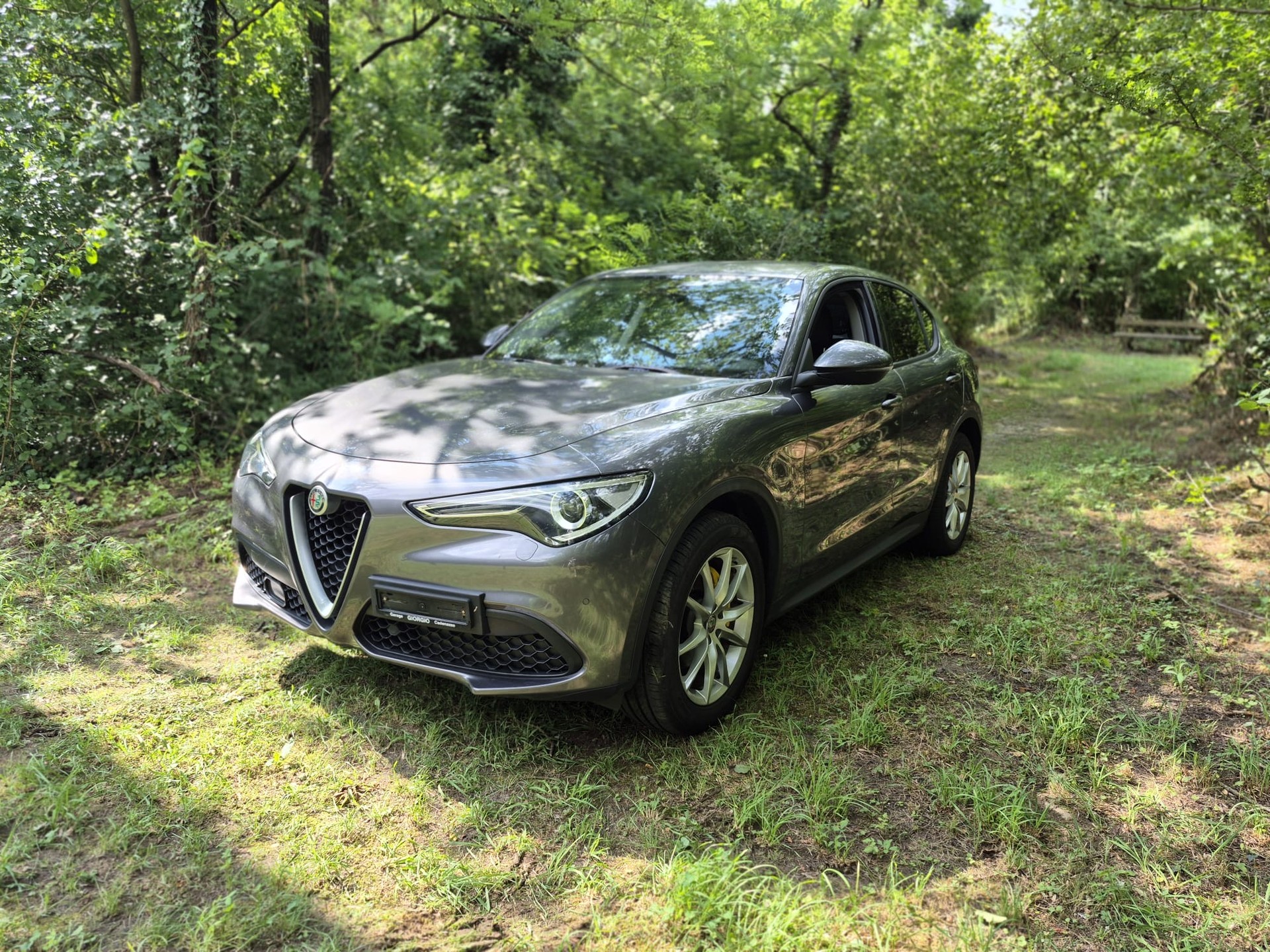 ALFA ROMEO Stelvio 2.2 JTDM Business Automatic Q4-image-7