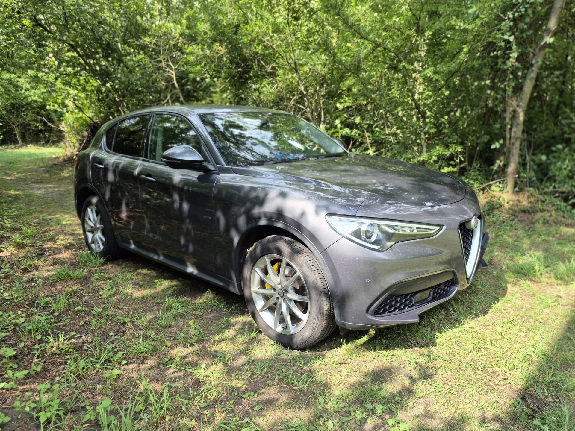 ALFA ROMEO Stelvio 2.2 JTDM Business Automatic Q4-image-8