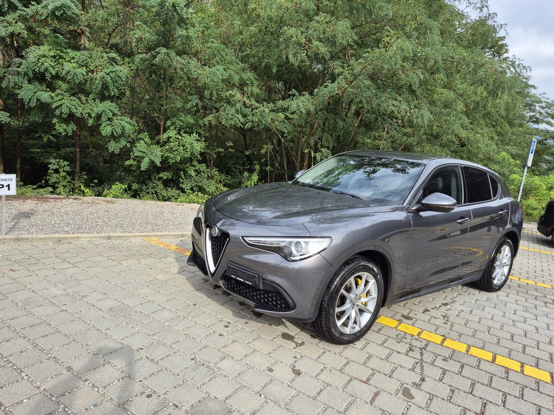 ALFA ROMEO Stelvio 2.2 JTDM Business Automatic Q4