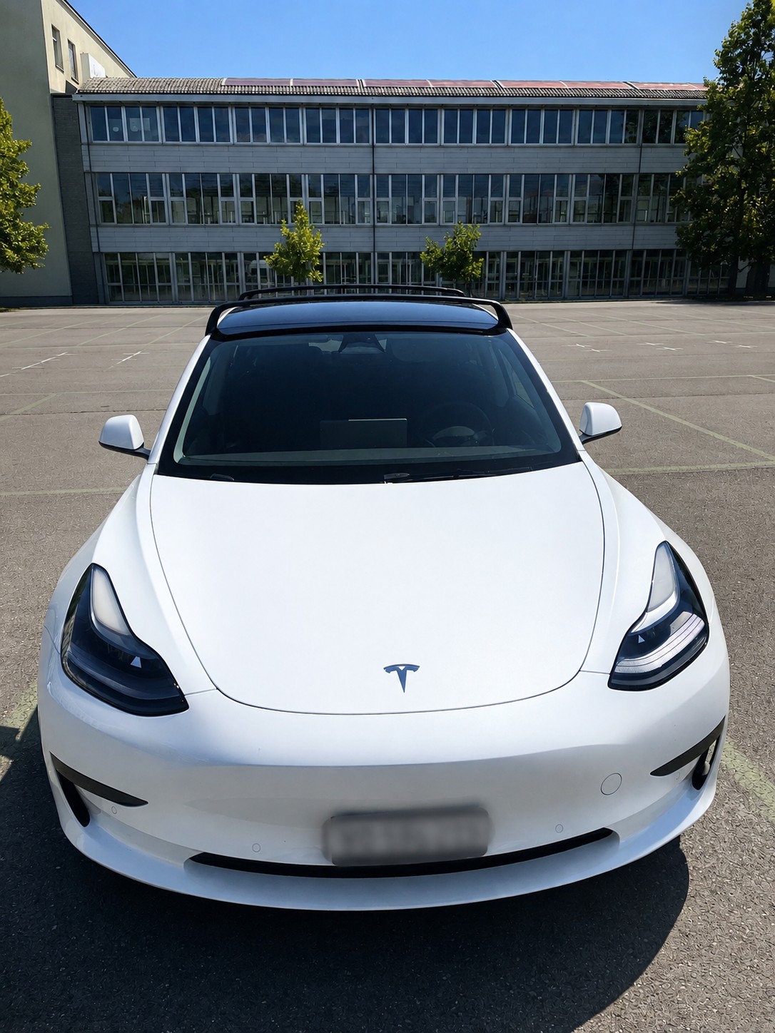 TESLA Model 3 Standard Range Plus (LFP)-image-1