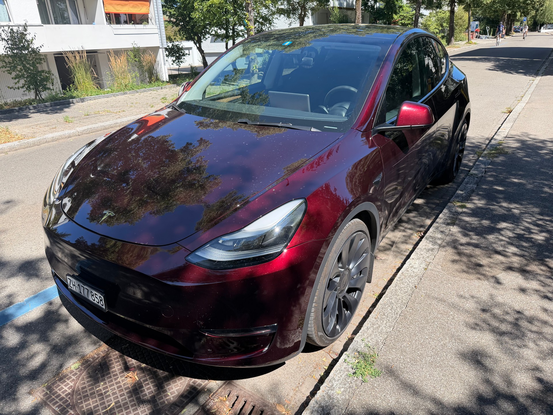 TESLA Performance D-image-1