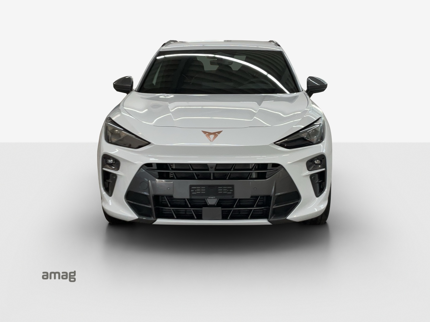 CUPRA Terramar 2.0 TSI Prime Edition DSG 4Drive-image-6