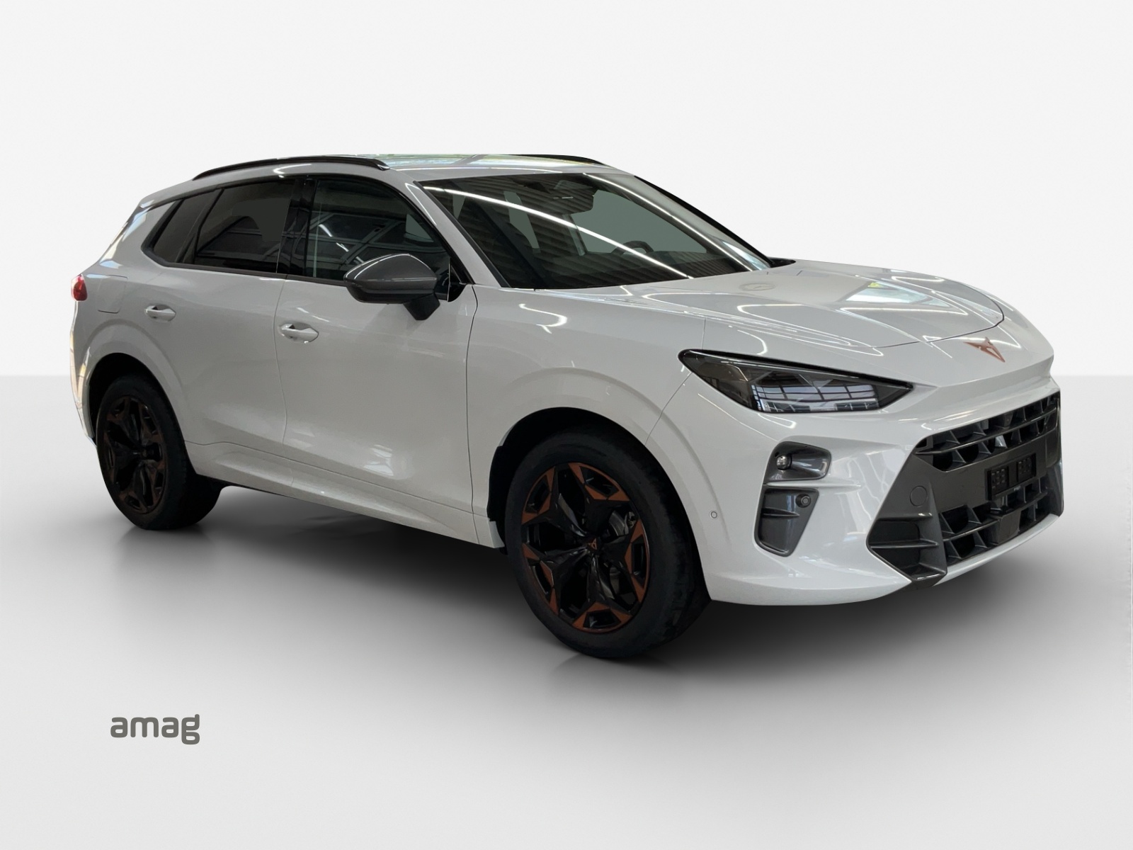 CUPRA Terramar 2.0 TSI Prime Edition DSG 4Drive-image-5