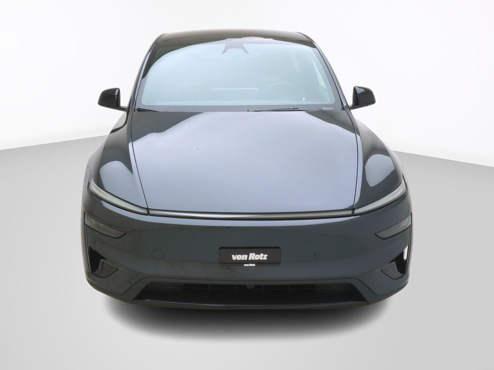 TESLA Model Y Performance AWD-image-7