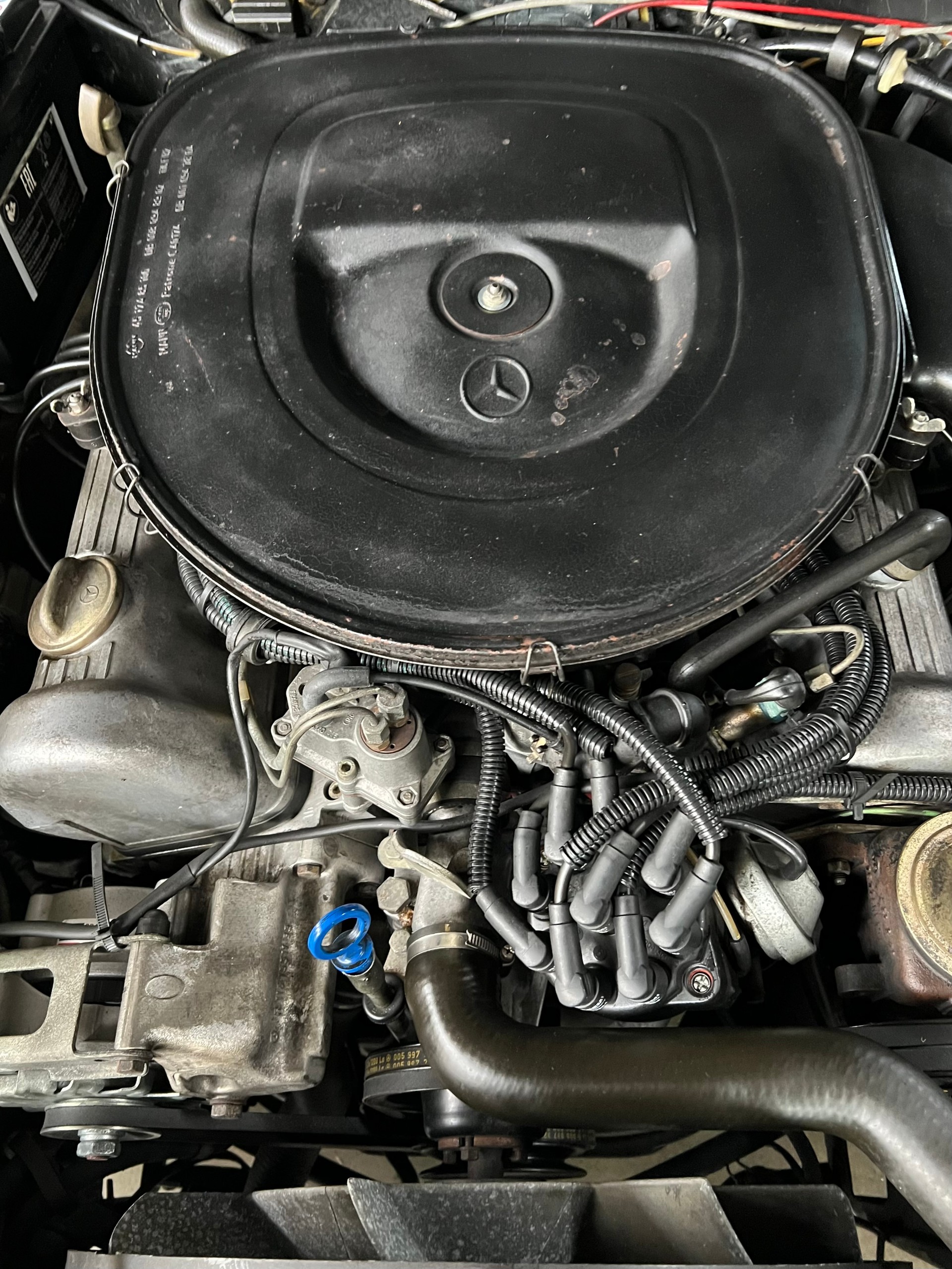 MERCEDES-BENZ V8 Cabriolet ***** Veteran *****-image-18