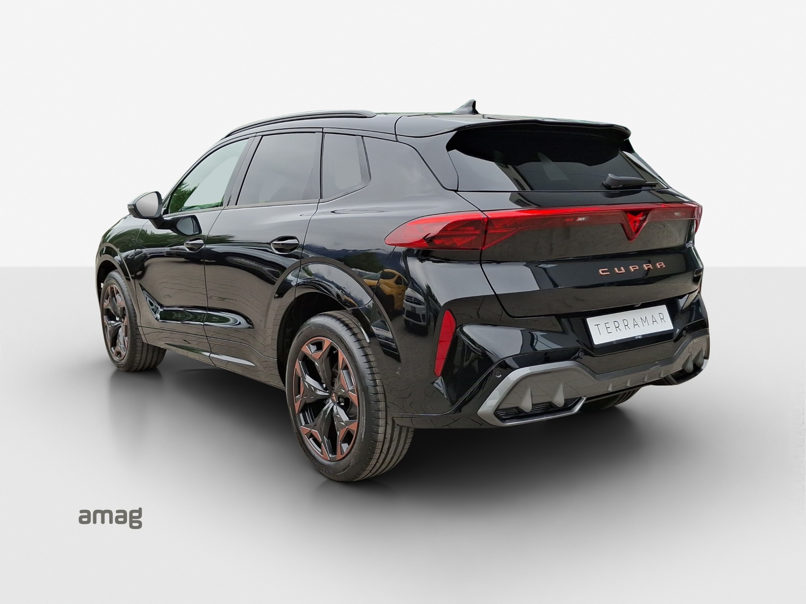 CUPRA Terramar 2.0 TSI Prime Edition DSG 4Drive-image-2