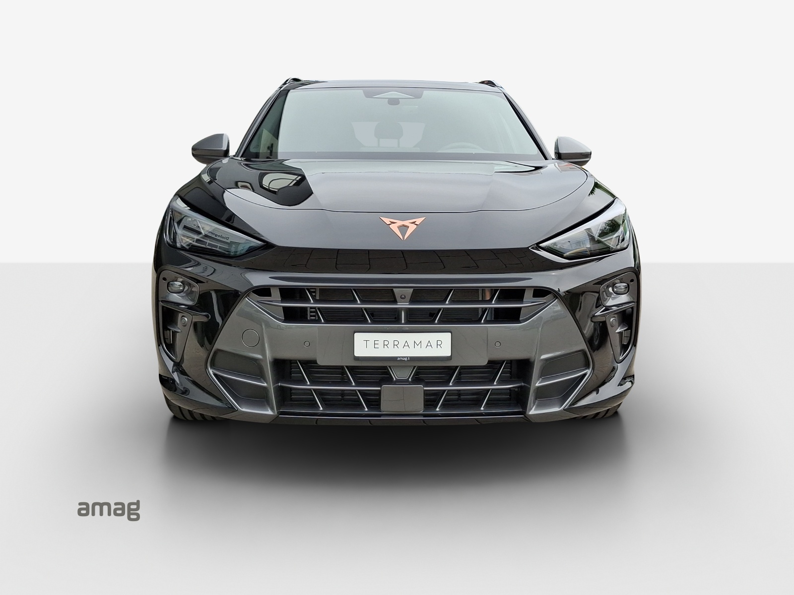 CUPRA Terramar 2.0 TSI Prime Edition DSG 4Drive-image-6
