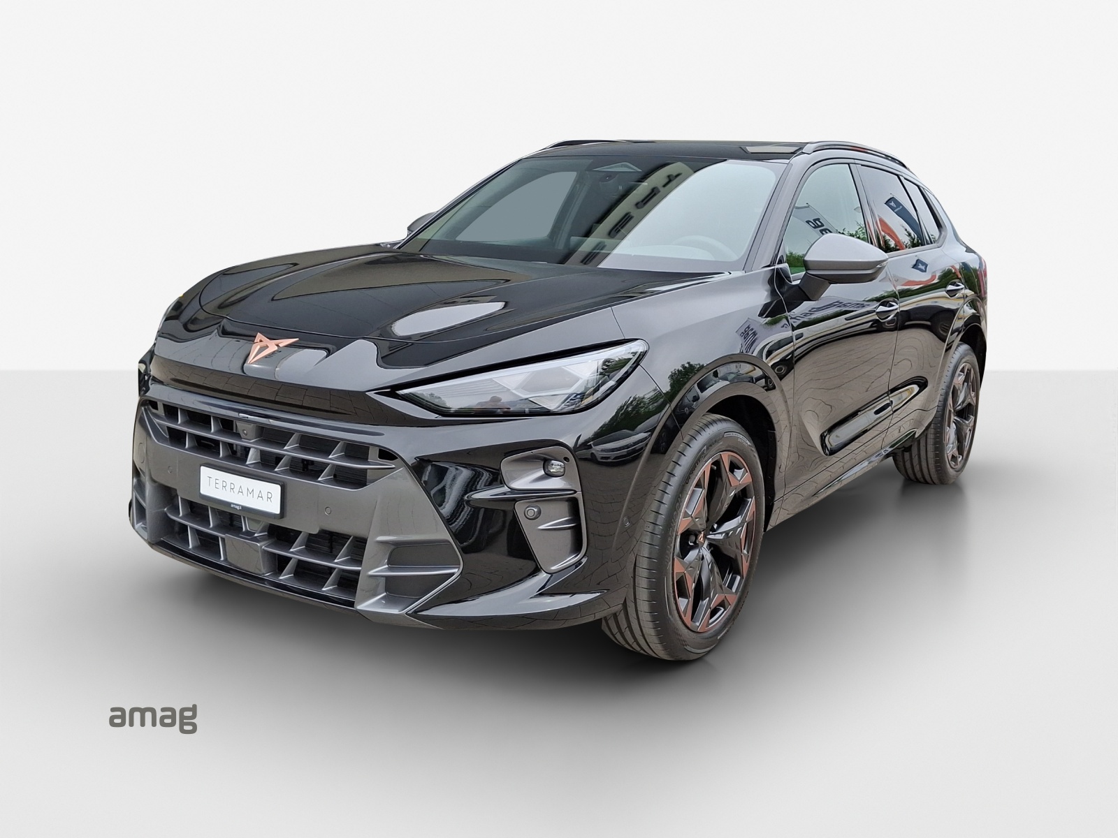 CUPRA Terramar 2.0 TSI Prime Edition DSG 4Drive-image-0