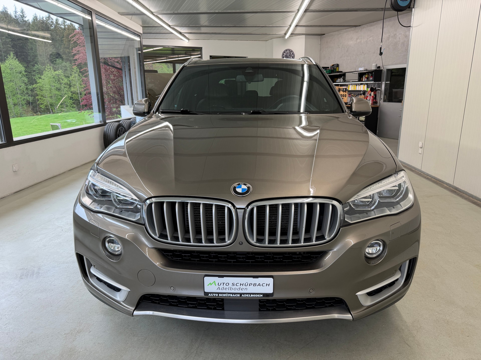 BMW X5 xDrive 40d Steptronic-image-11
