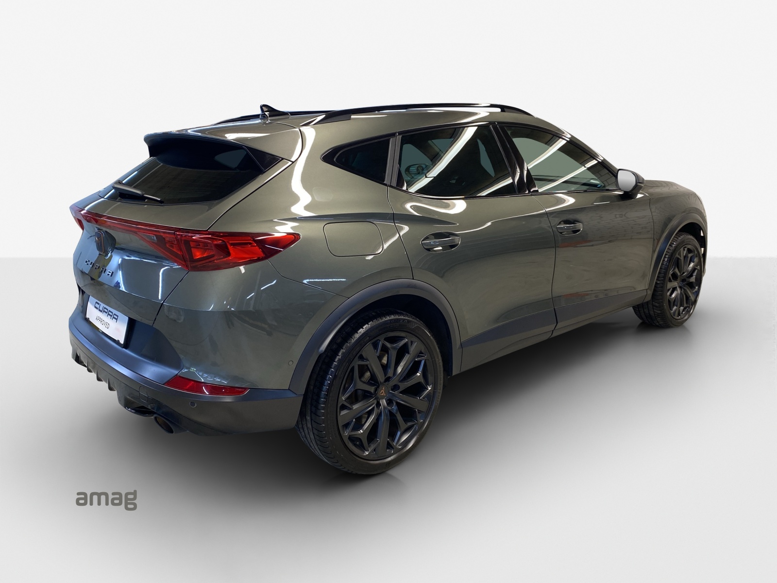 CUPRA Formentor 2.0TSI Tribe Edition DSG-image-4