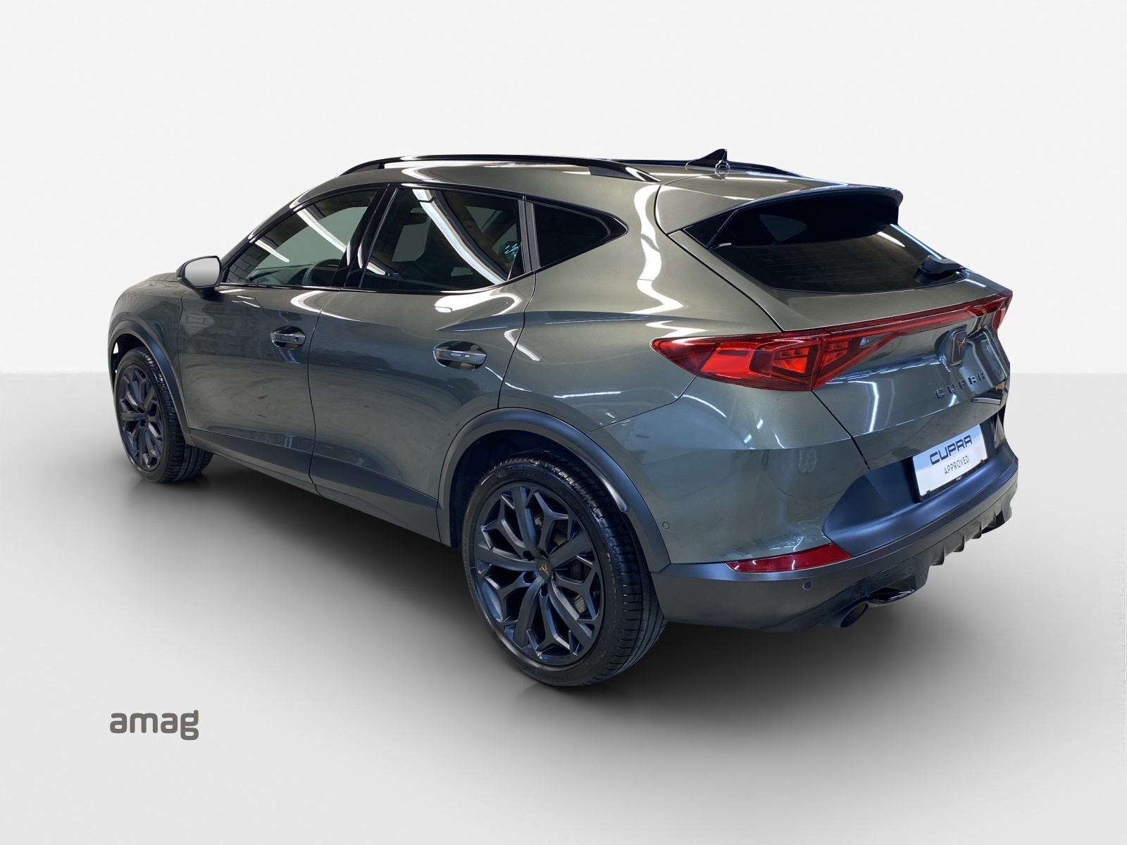 CUPRA Formentor 2.0TSI Tribe Edition DSG-image-2