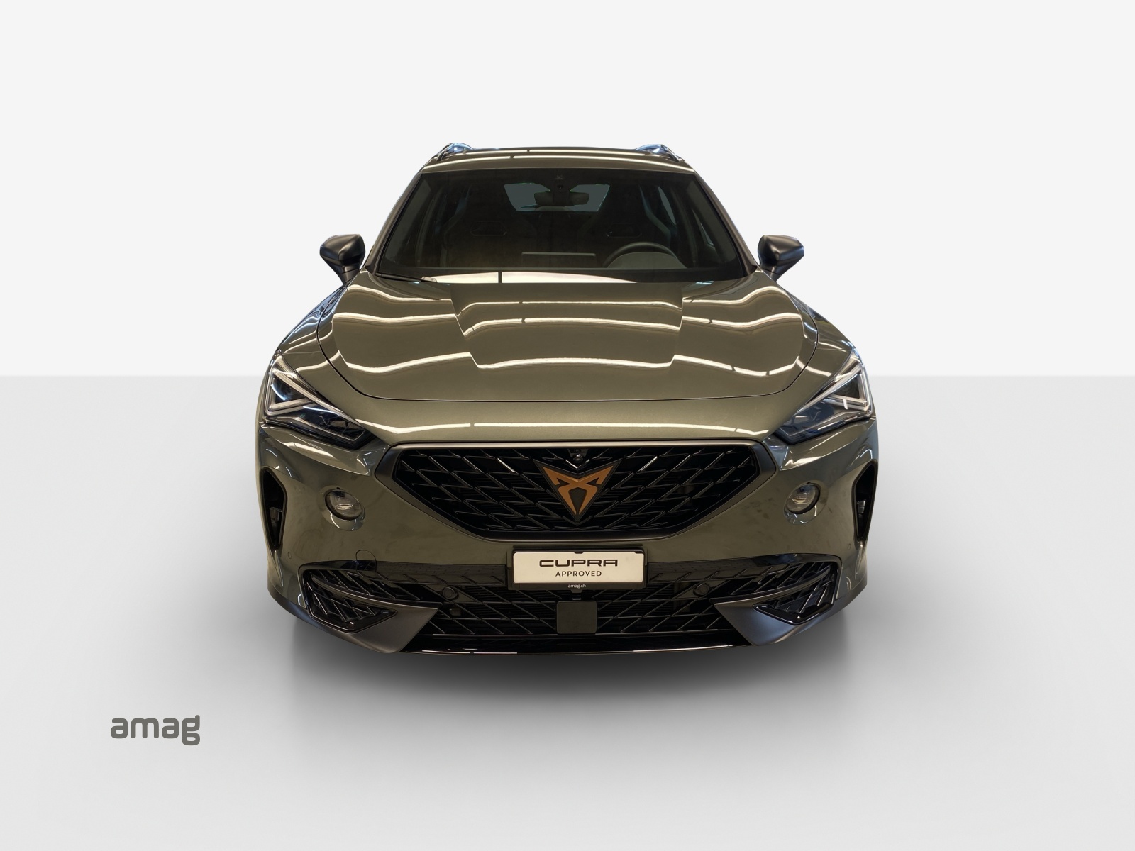 CUPRA Formentor 2.0TSI Tribe Edition DSG-image-6