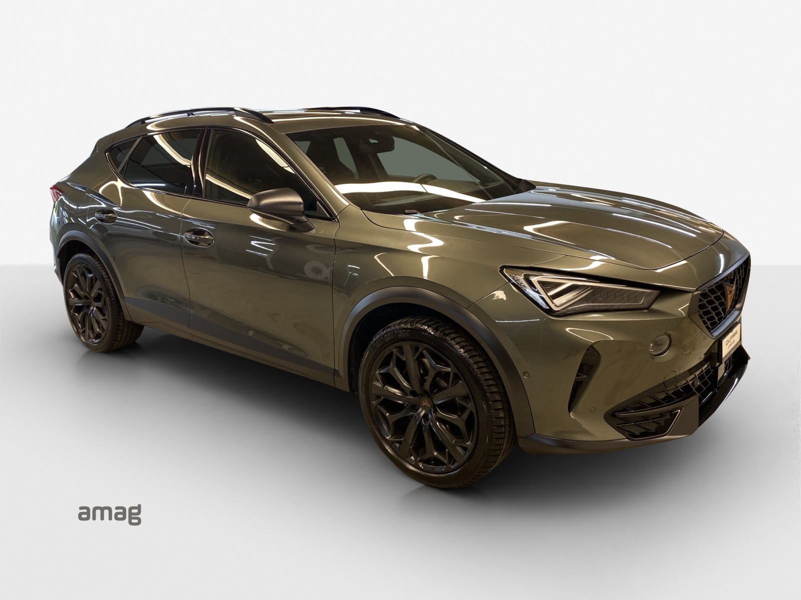 CUPRA Formentor 2.0TSI Tribe Edition DSG-image-5