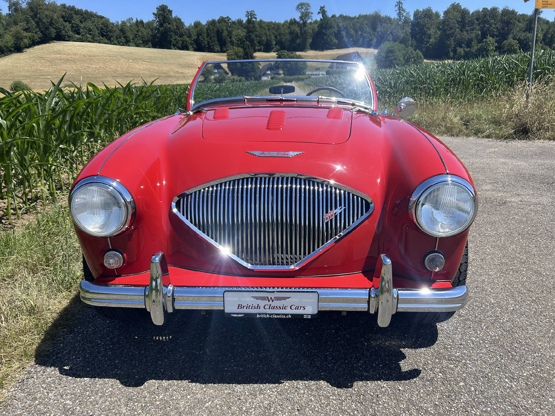 AUSTIN Healey 100-image-4