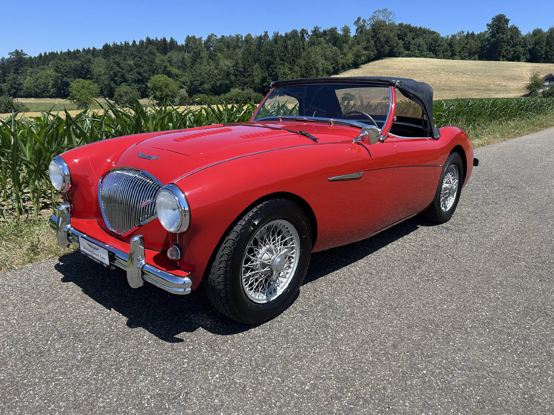 AUSTIN Healey 100-image-11