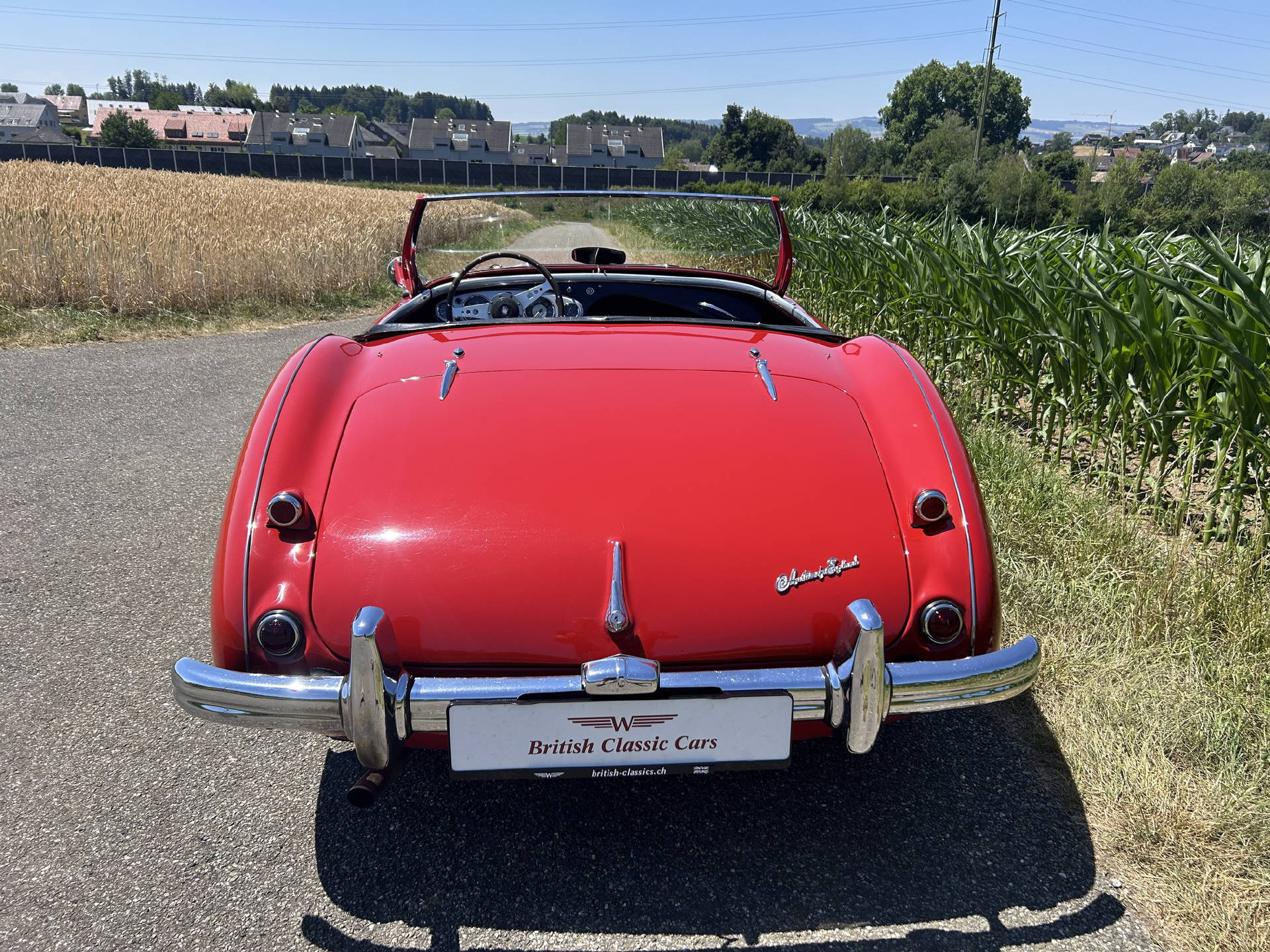 AUSTIN Healey 100-image-3