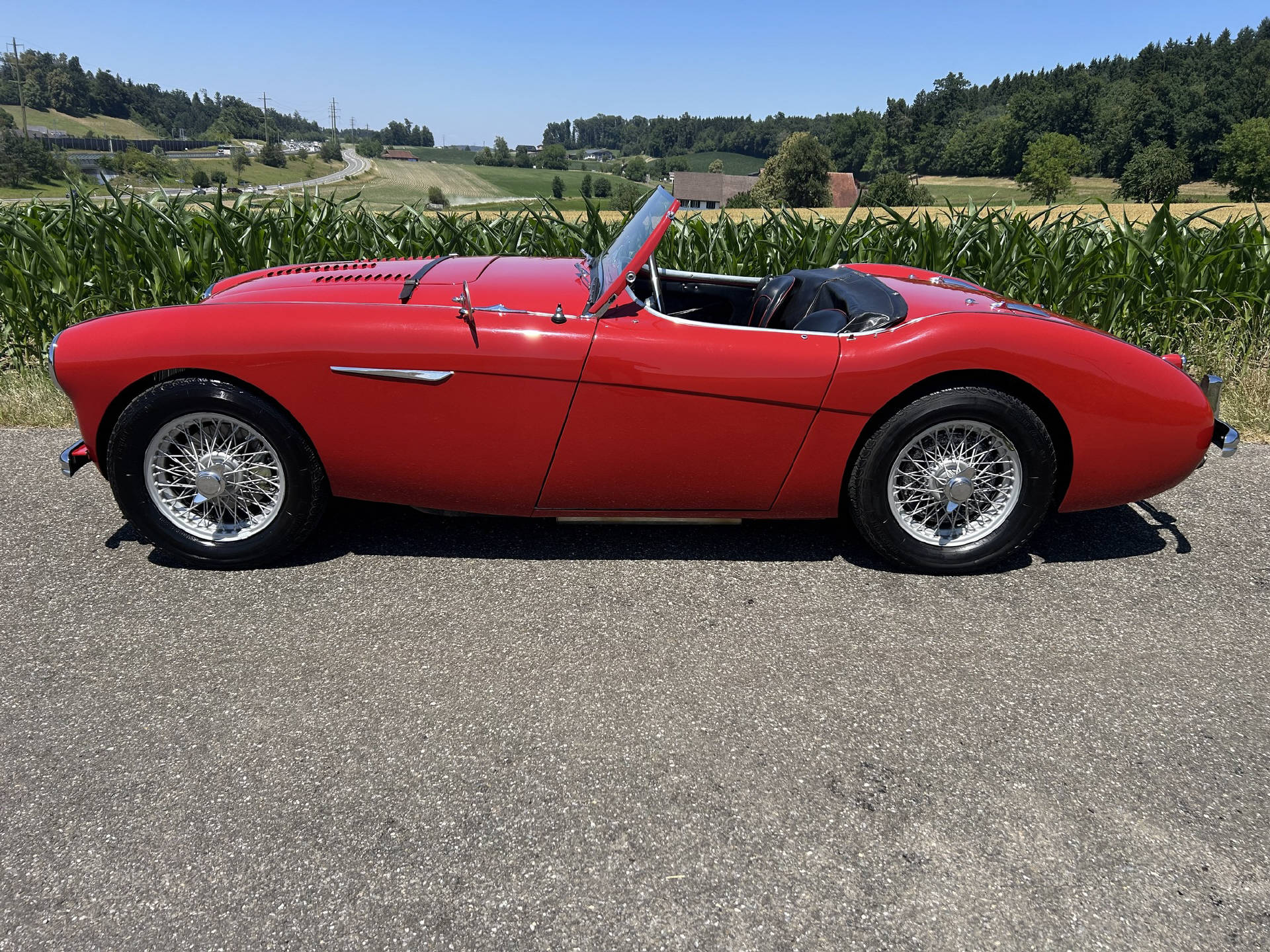 AUSTIN Healey 100-image-1