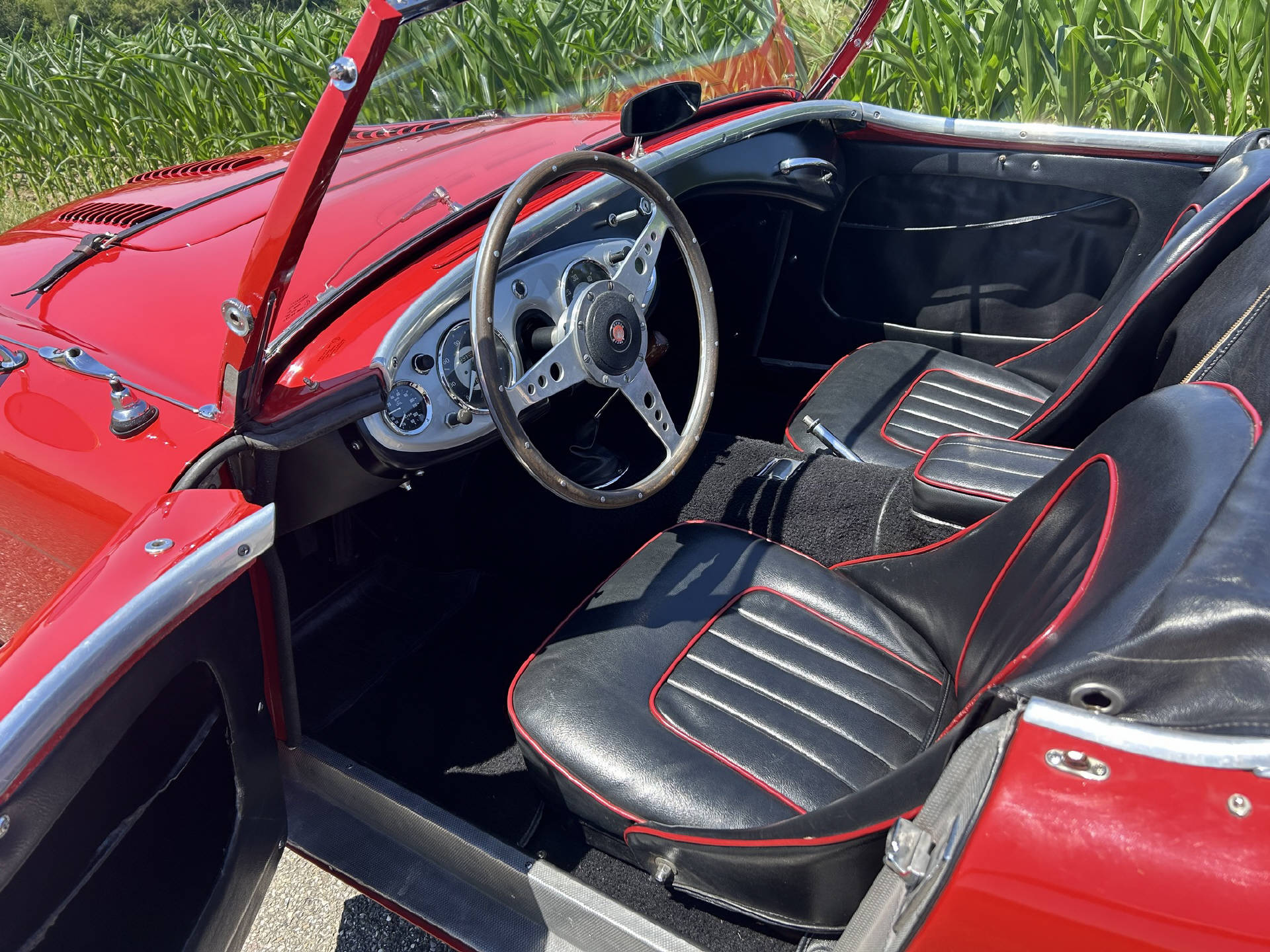 AUSTIN Healey 100-image-5