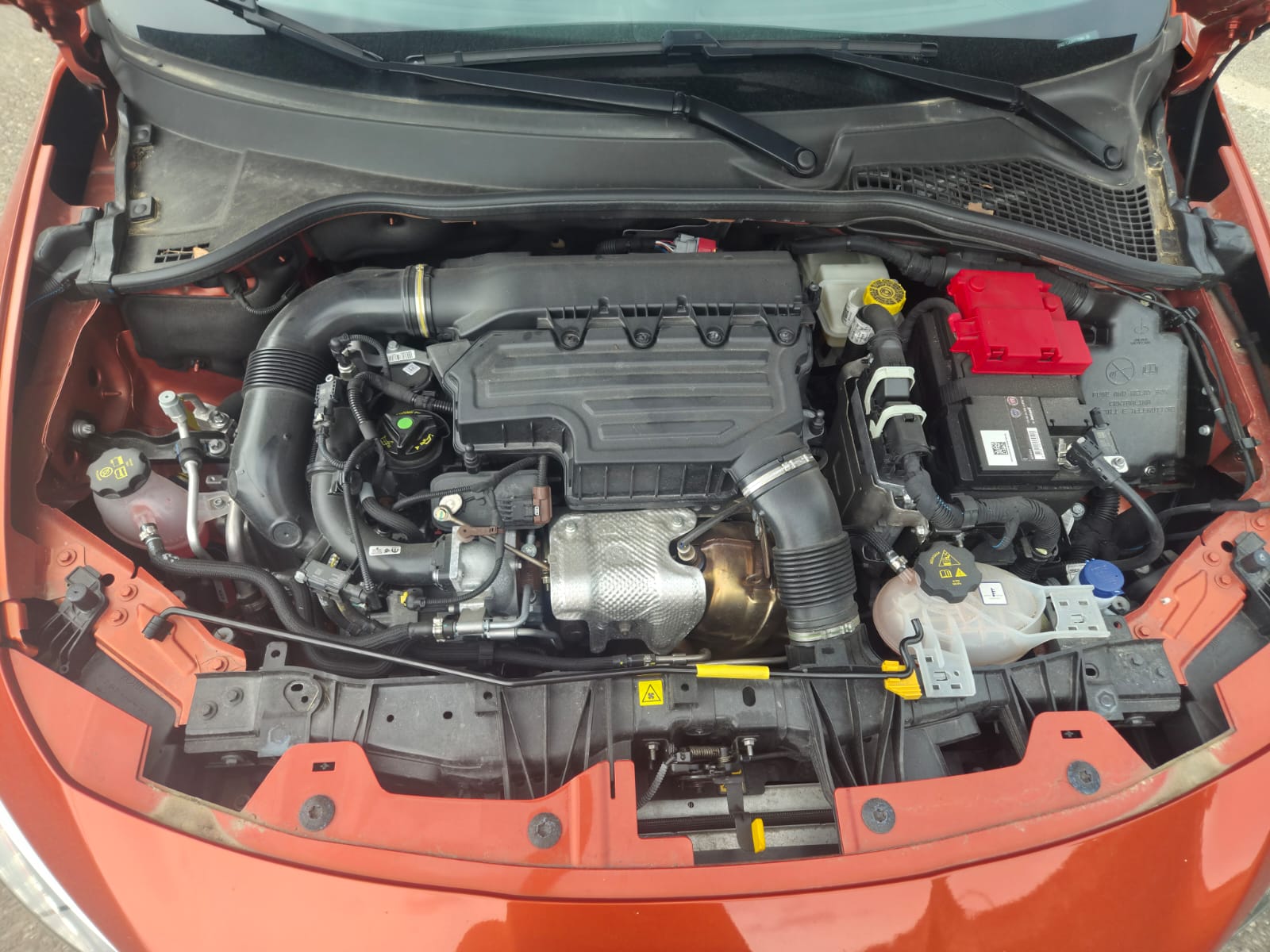 FIAT Tipo Hybrid 1.5 Swiss Edition Cross-image-7