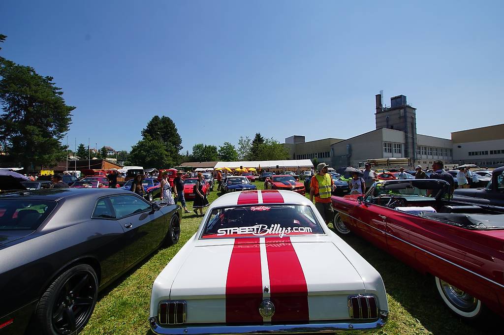 FORD MUSTANG-image-2