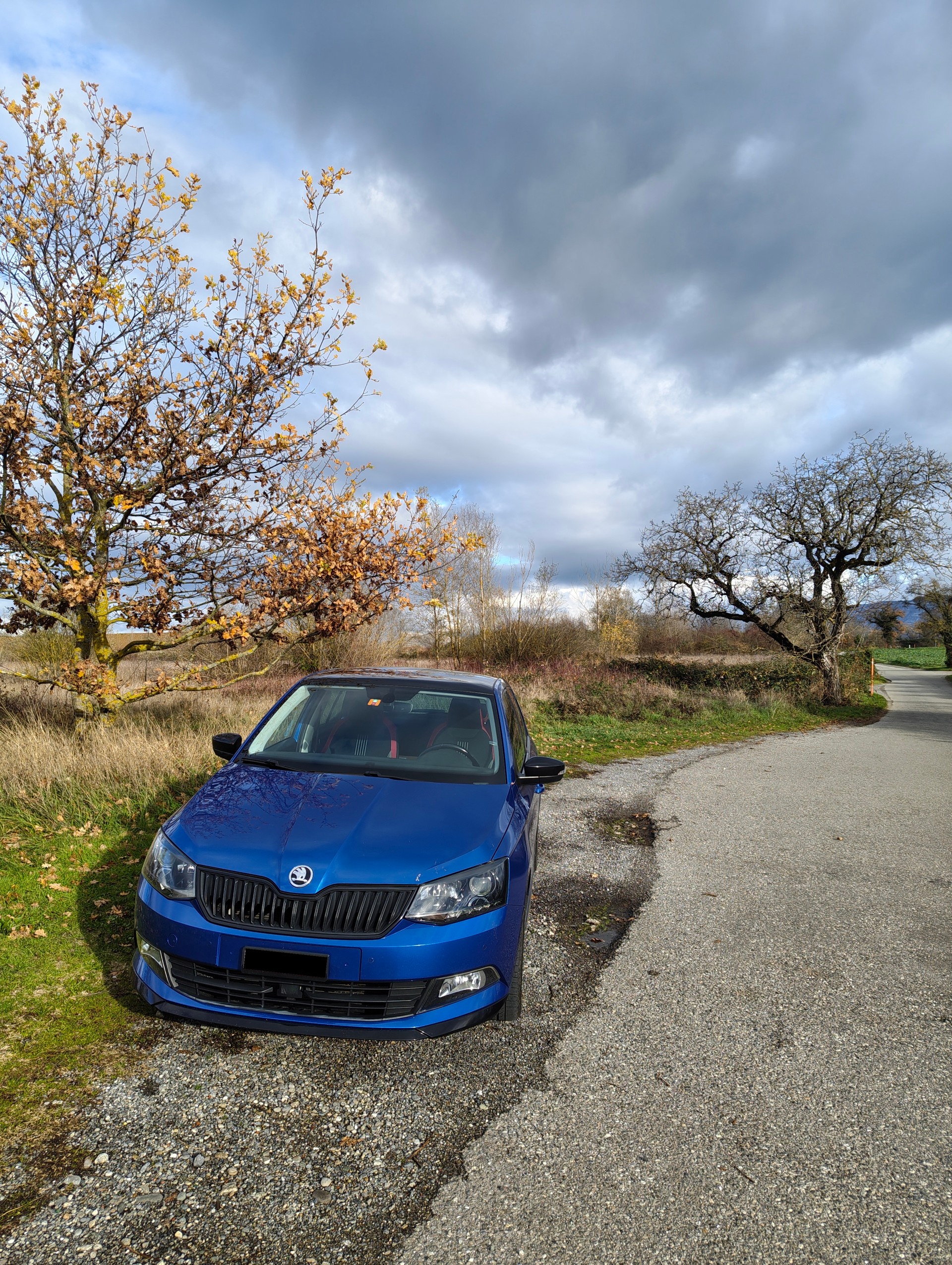 SKODA 1.2 TSI Monte Carlo-image-0