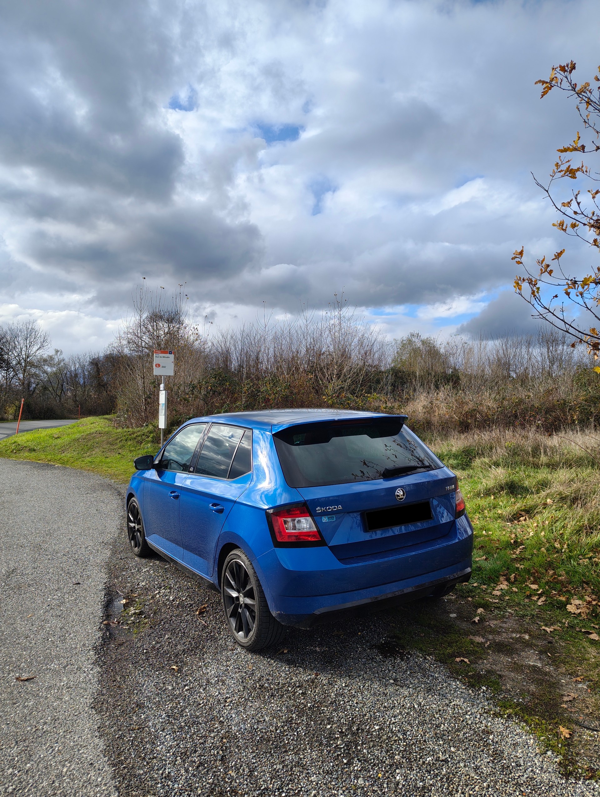 SKODA 1.2 TSI Monte Carlo-image-3