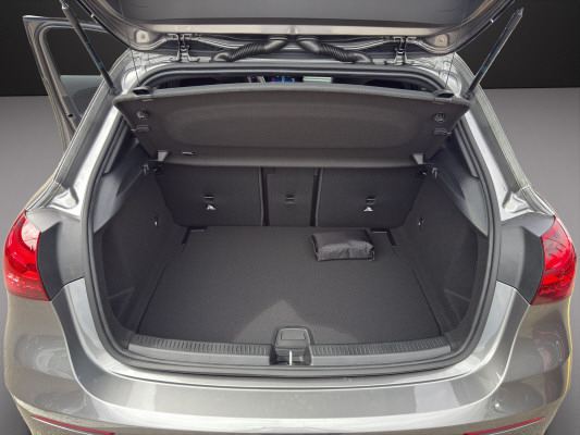 MERCEDES-BENZ A 250 4Matic 8G-DCT-image-10