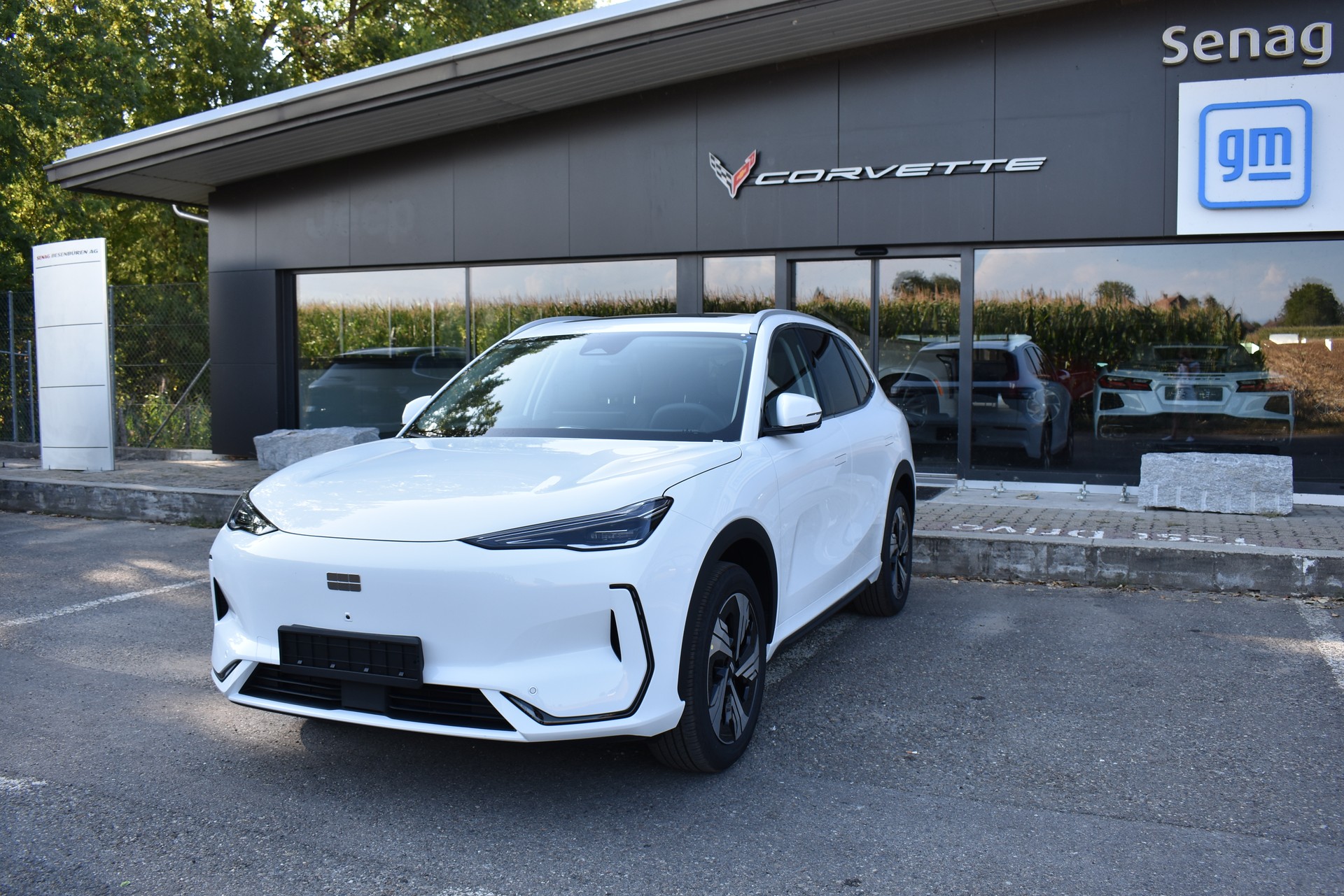 GEELY E5 Max+ Elektro-image-1