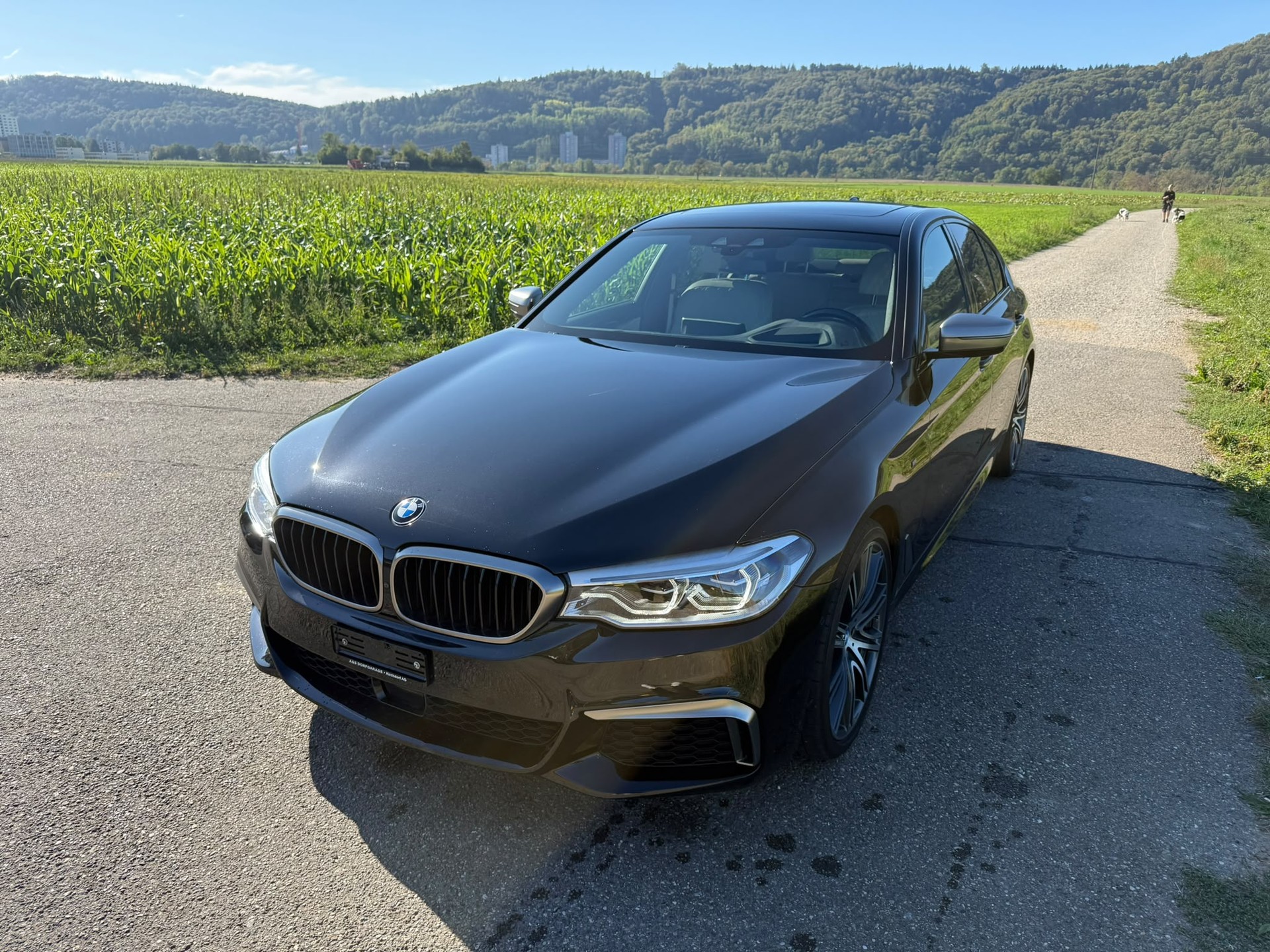 BMW M550d xDrive Steptronic-image-0