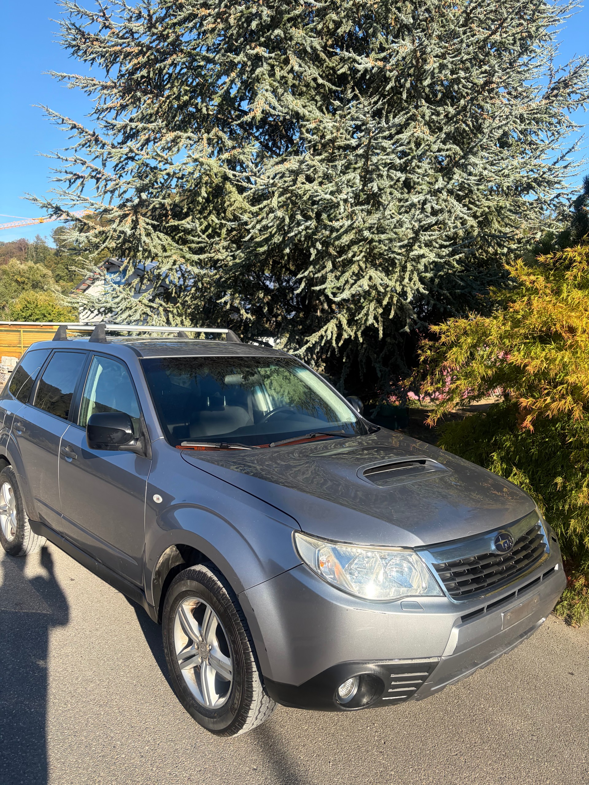 SUBARU Forester 2.0D X Swiss-image-6