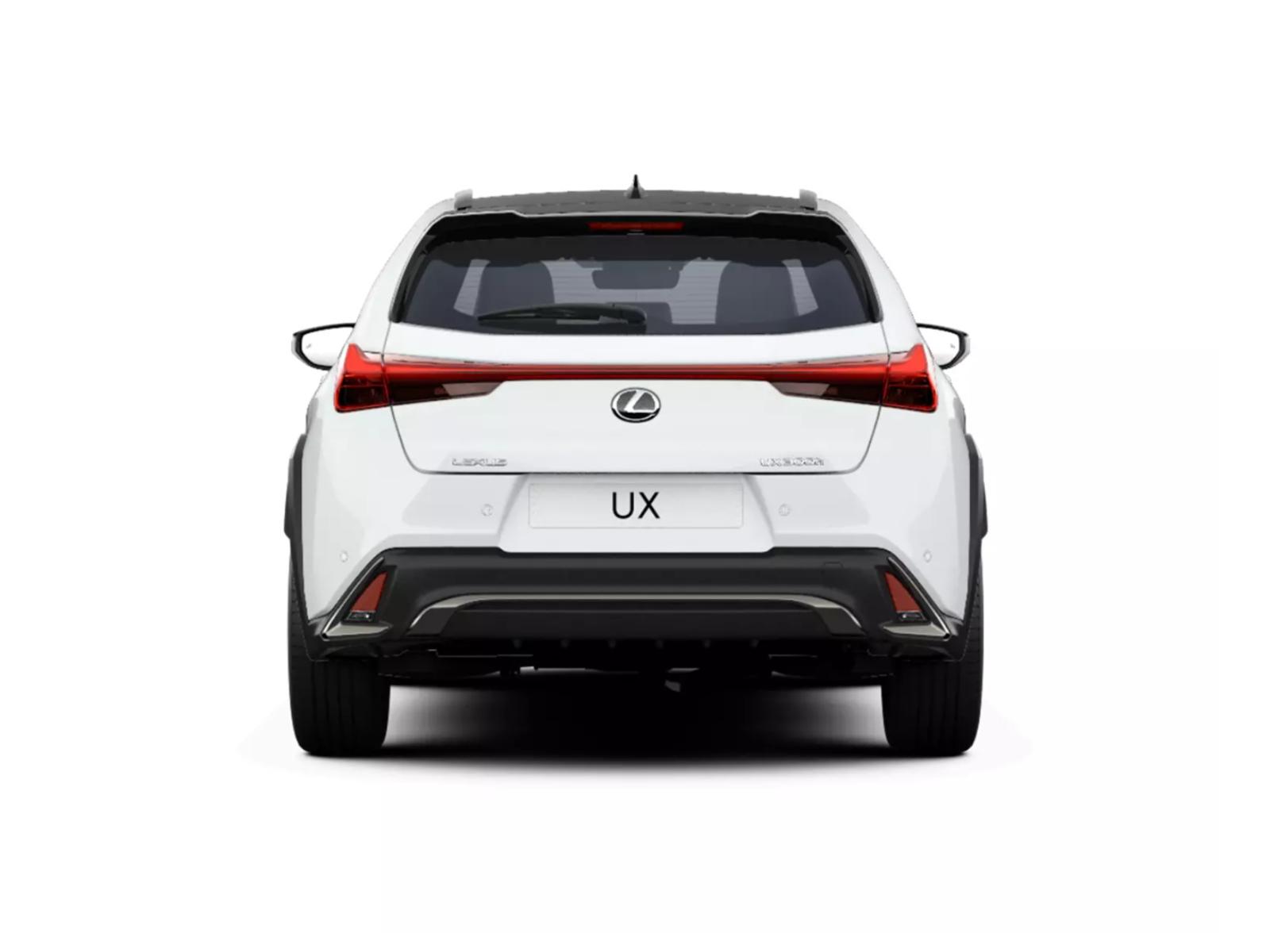 LEXUS UX 300h F-Line-image-4