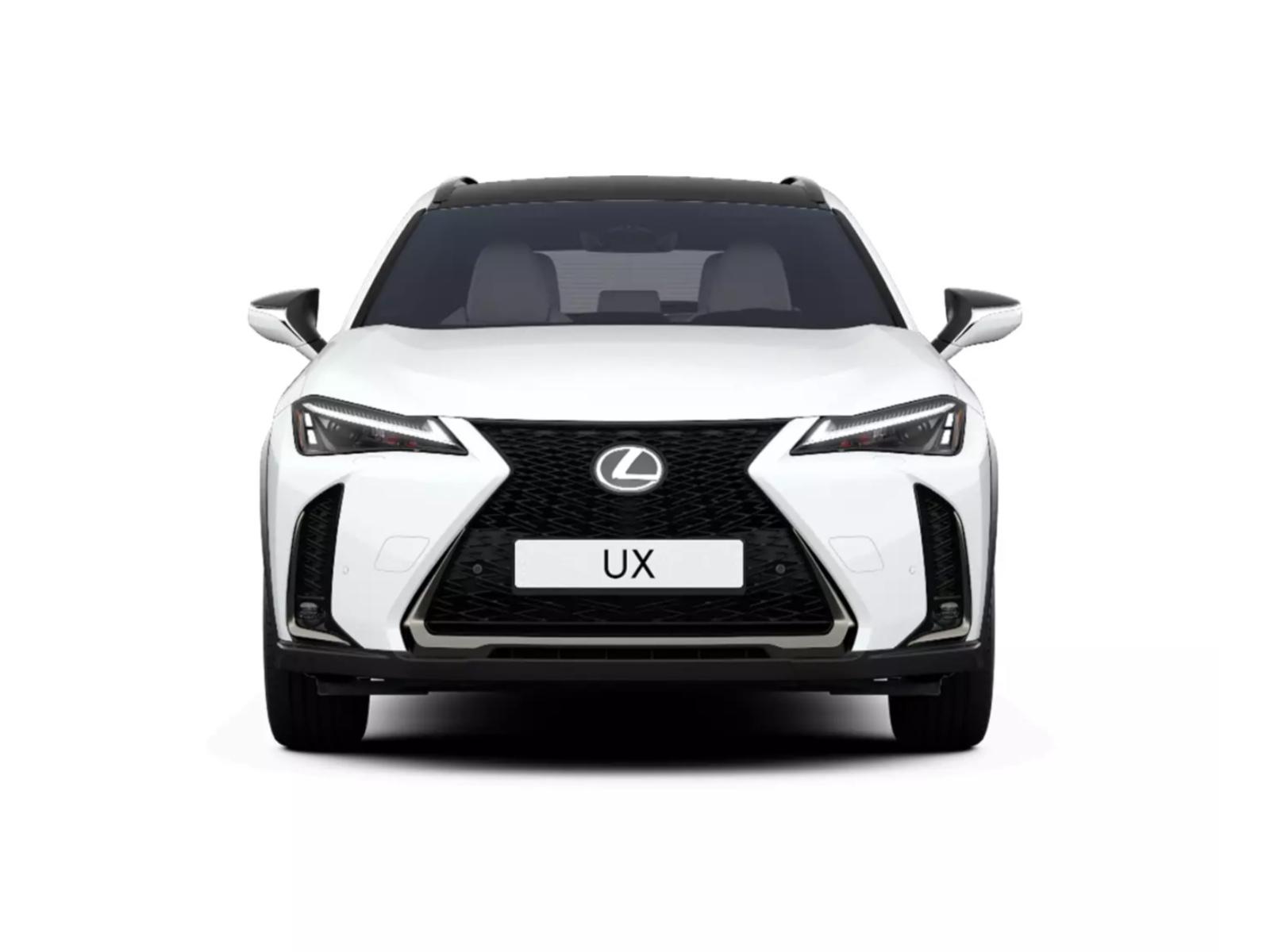 LEXUS UX 300h F-Line-image-1
