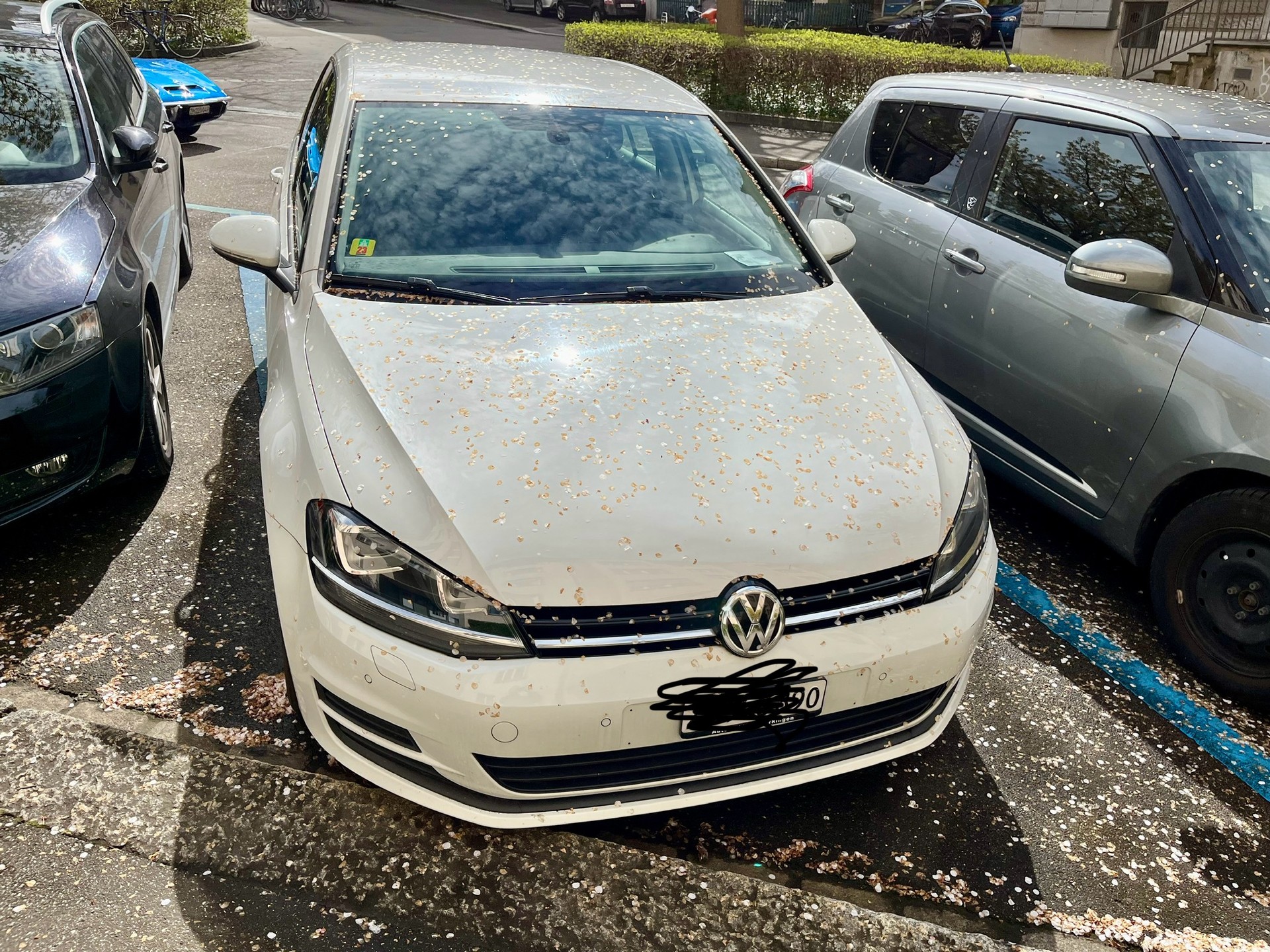 VW GOLF-image-4